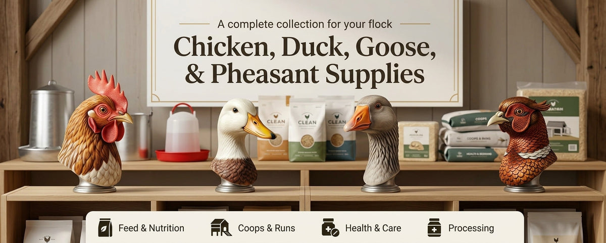 Chicken, Duck, Goose, & Pheasant Supplies