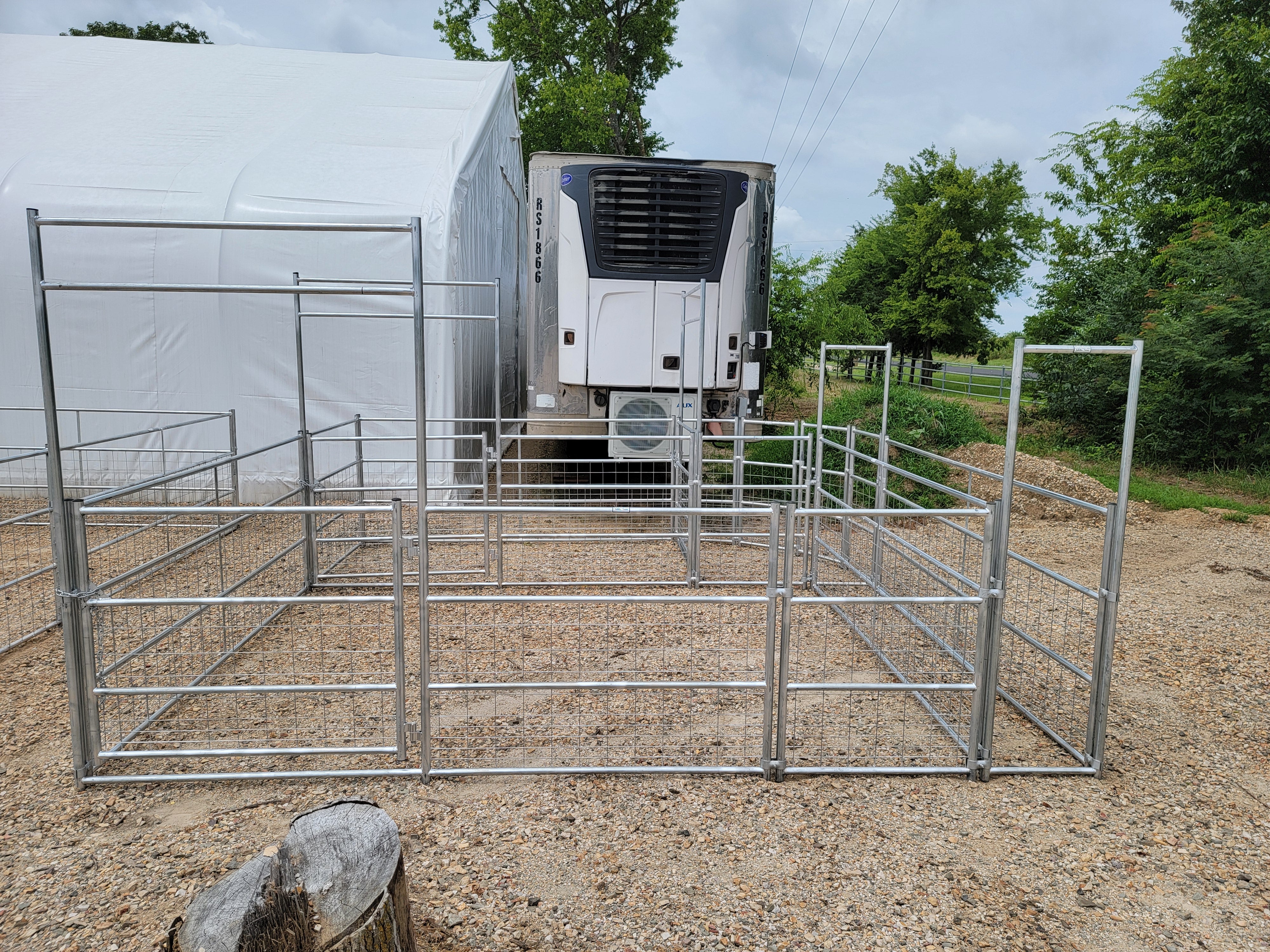 Galvanized 12-16 Head Goat/Sheep Working System 4-Rail with Mesh