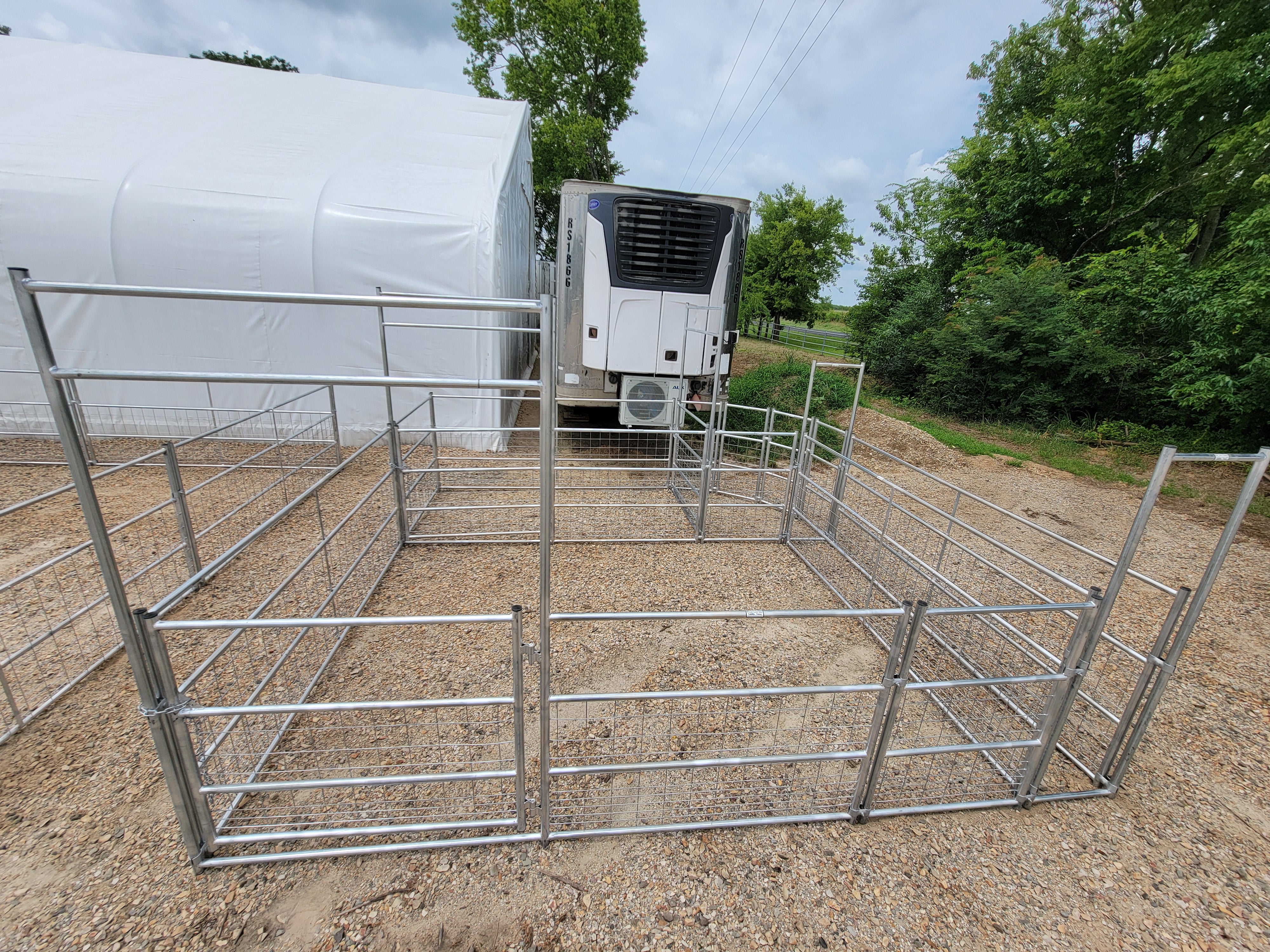 Galvanized 12-16 Head Goat/Sheep Working System 4-Rail with Mesh