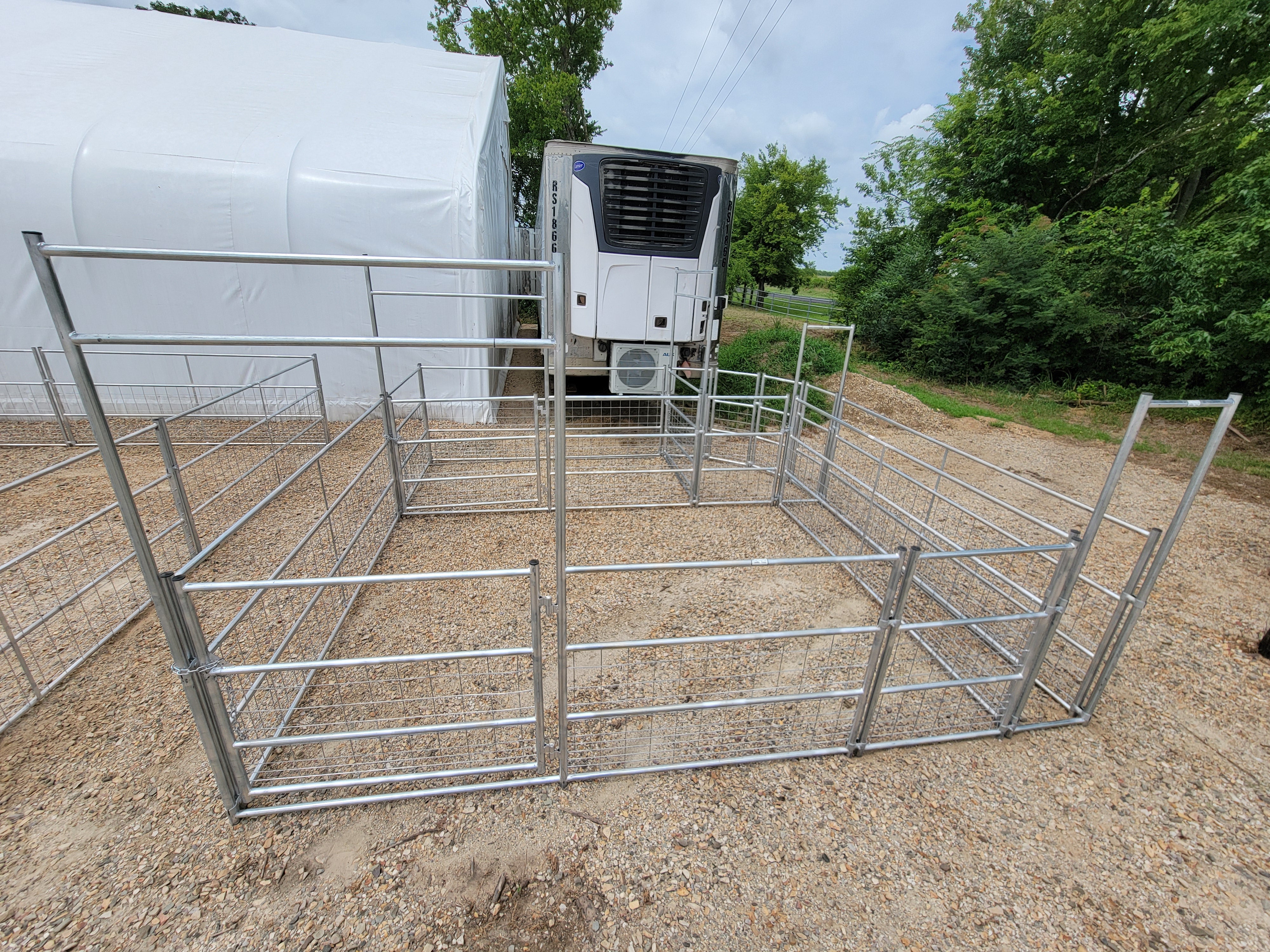 Galvanized 12-16 Head Goat/Sheep Working System 4-Rail with Mesh