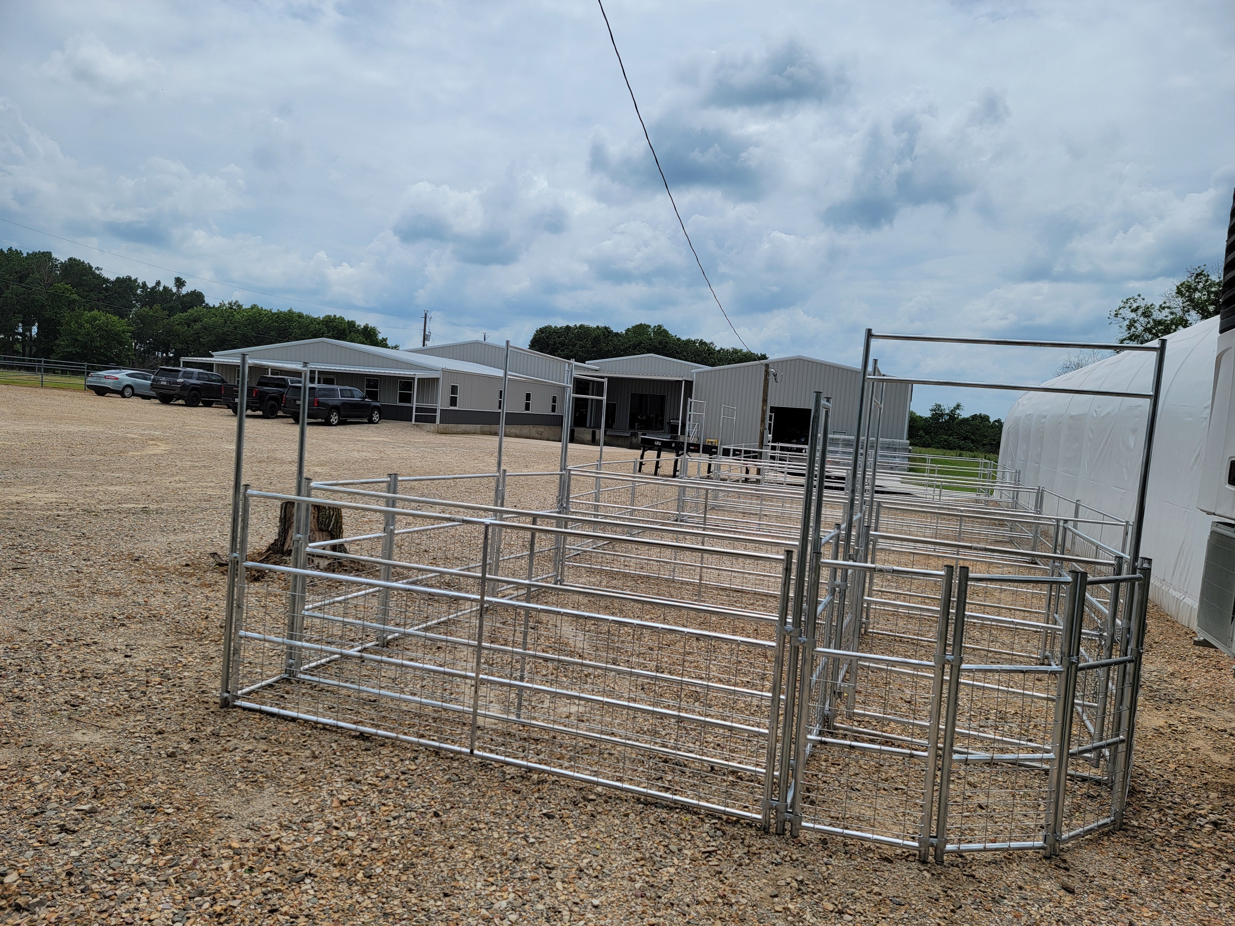 Galvanized 12-16 Head Goat/Sheep Working System 4-Rail with Mesh