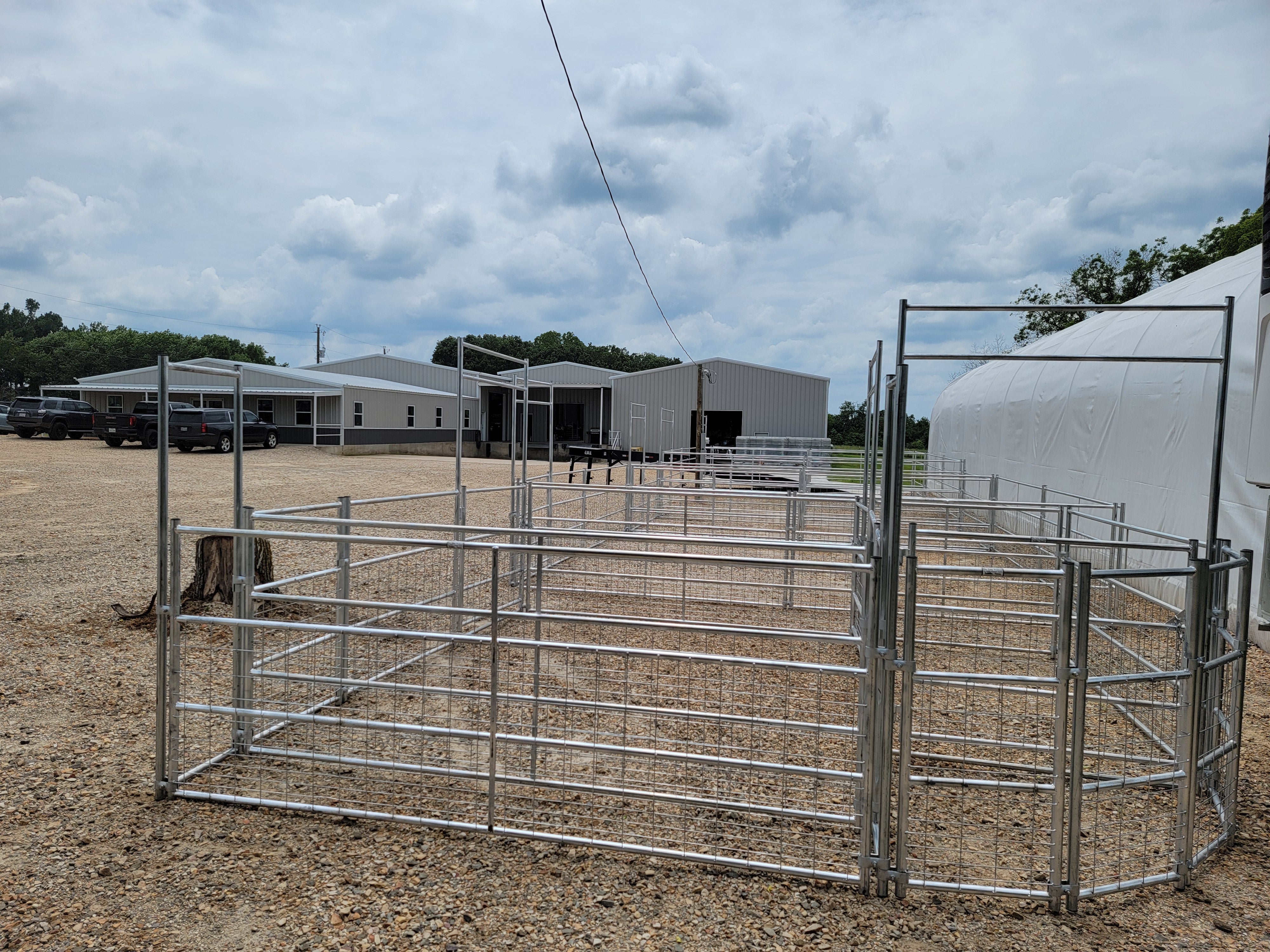 Galvanized 12-16 Head Goat/Sheep Working System 4-Rail with Mesh