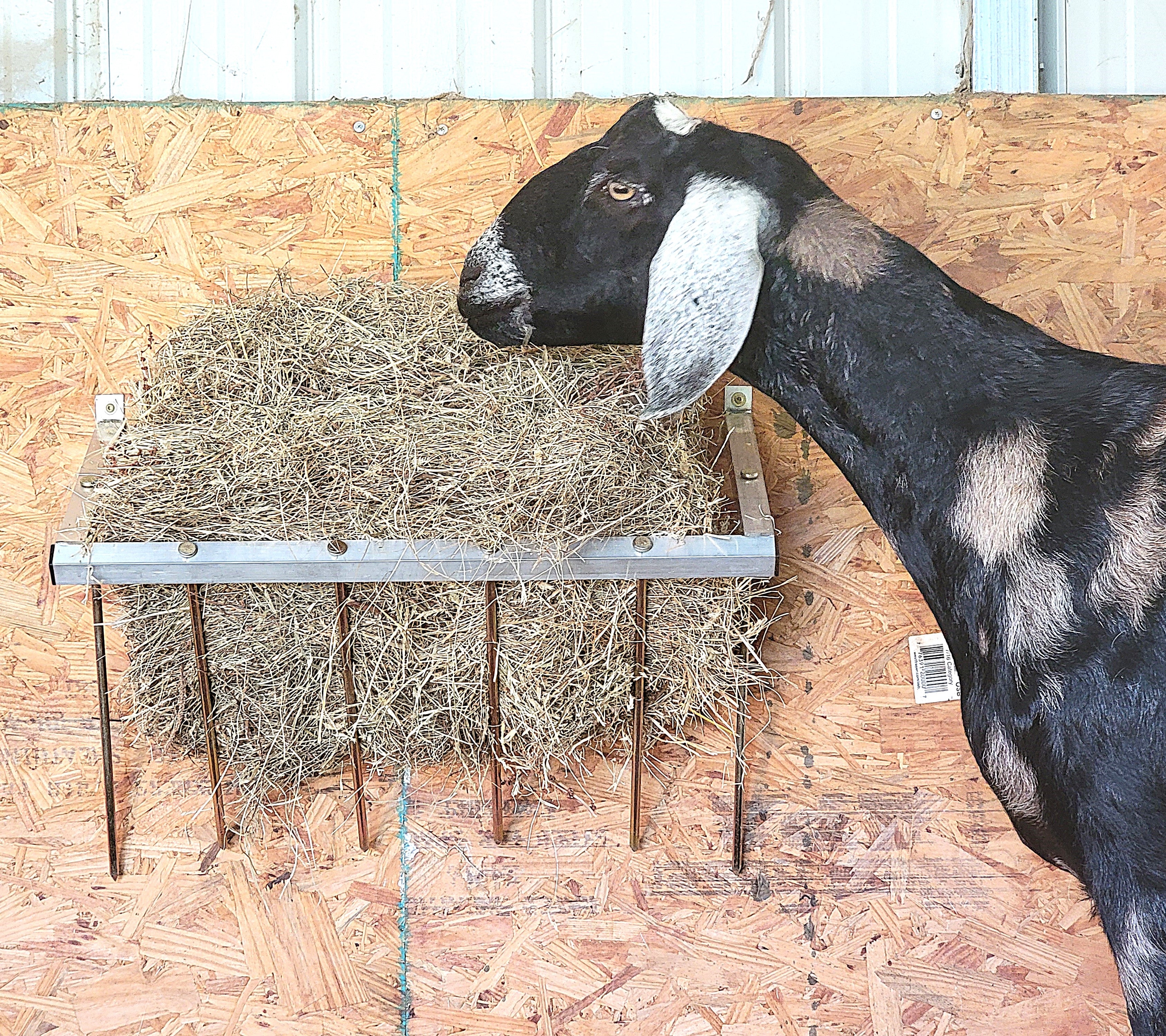 24 Inch Wall Mounted Sheep & Goat Two Flake Hay Feeder USA Made Aluminum