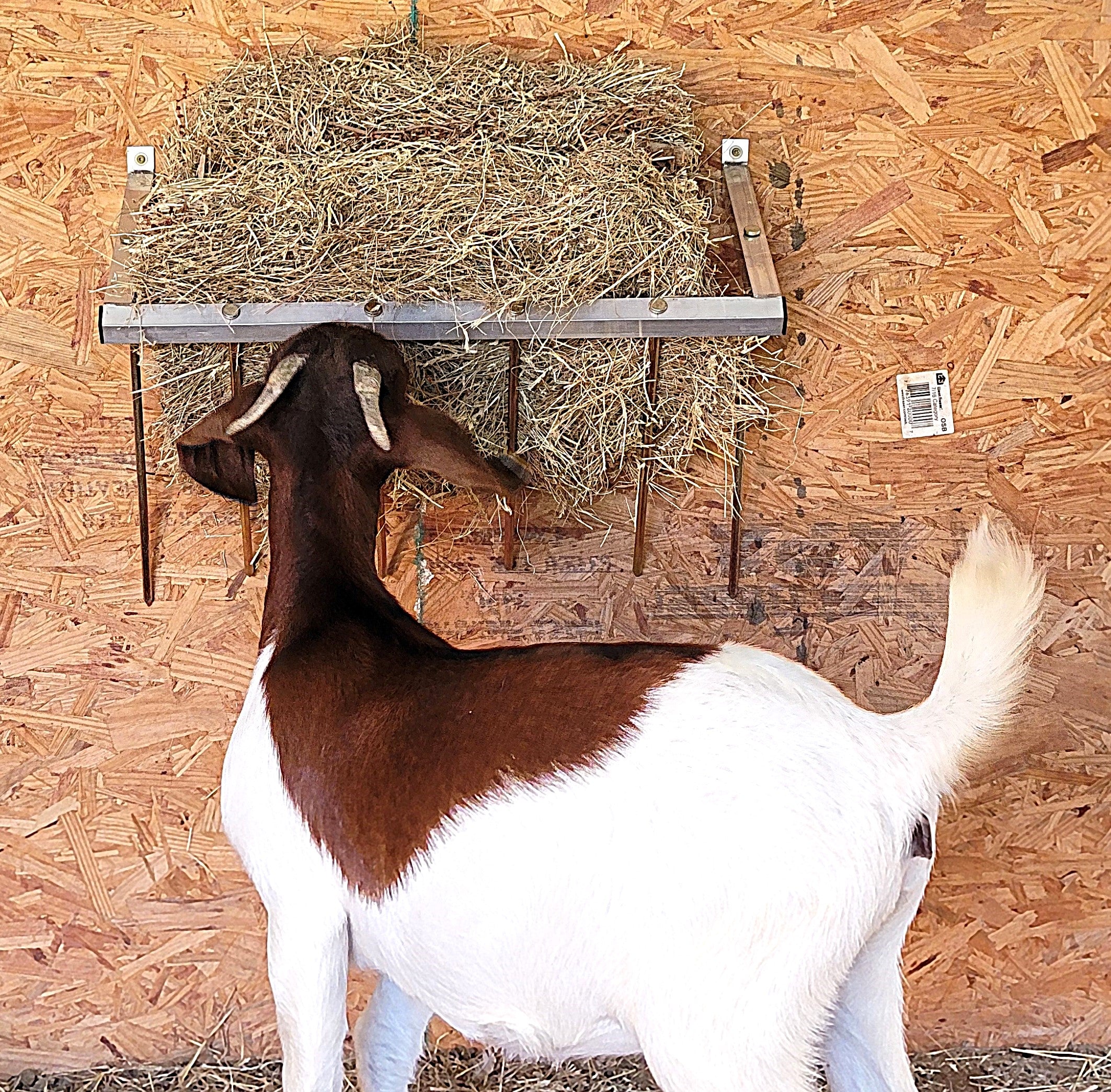24 Inch Wall Mounted Sheep & Goat Two Flake Hay Feeder USA Made Aluminum