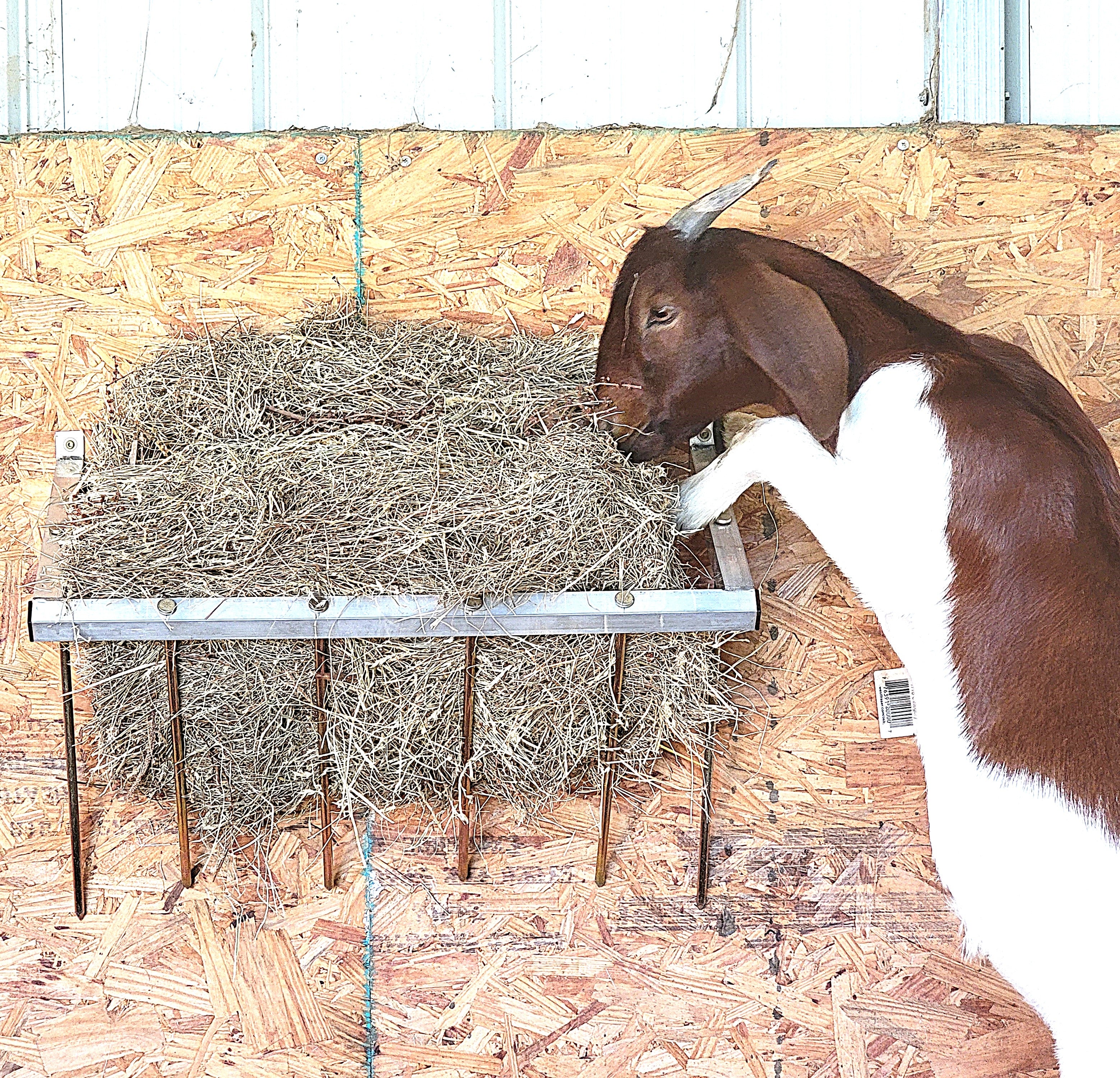 24 Inch Wall Mounted Sheep & Goat Two Flake Hay Feeder USA Made Aluminum