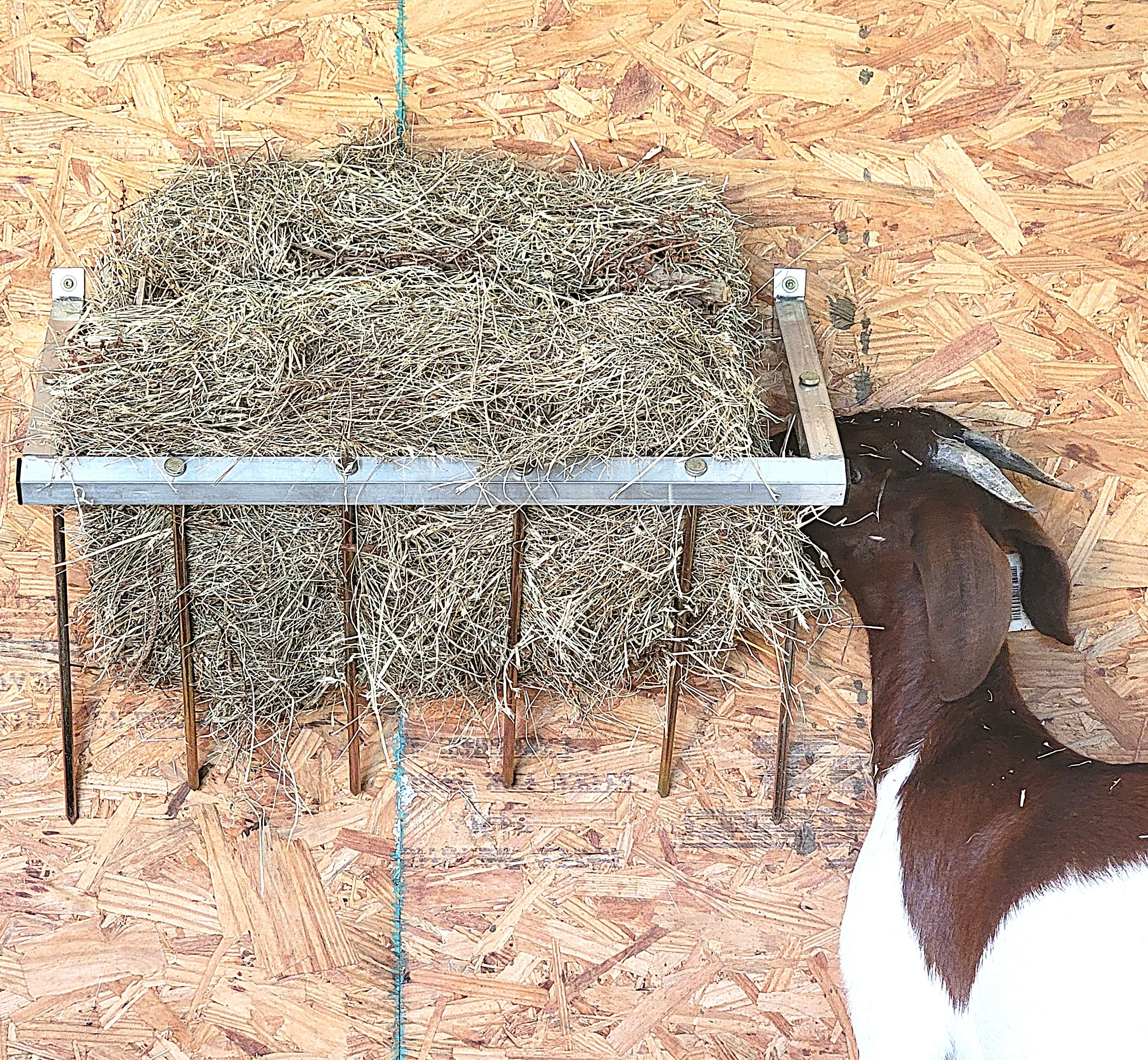24 Inch Wall Mounted Sheep & Goat Two Flake Hay Feeder USA Made Aluminum