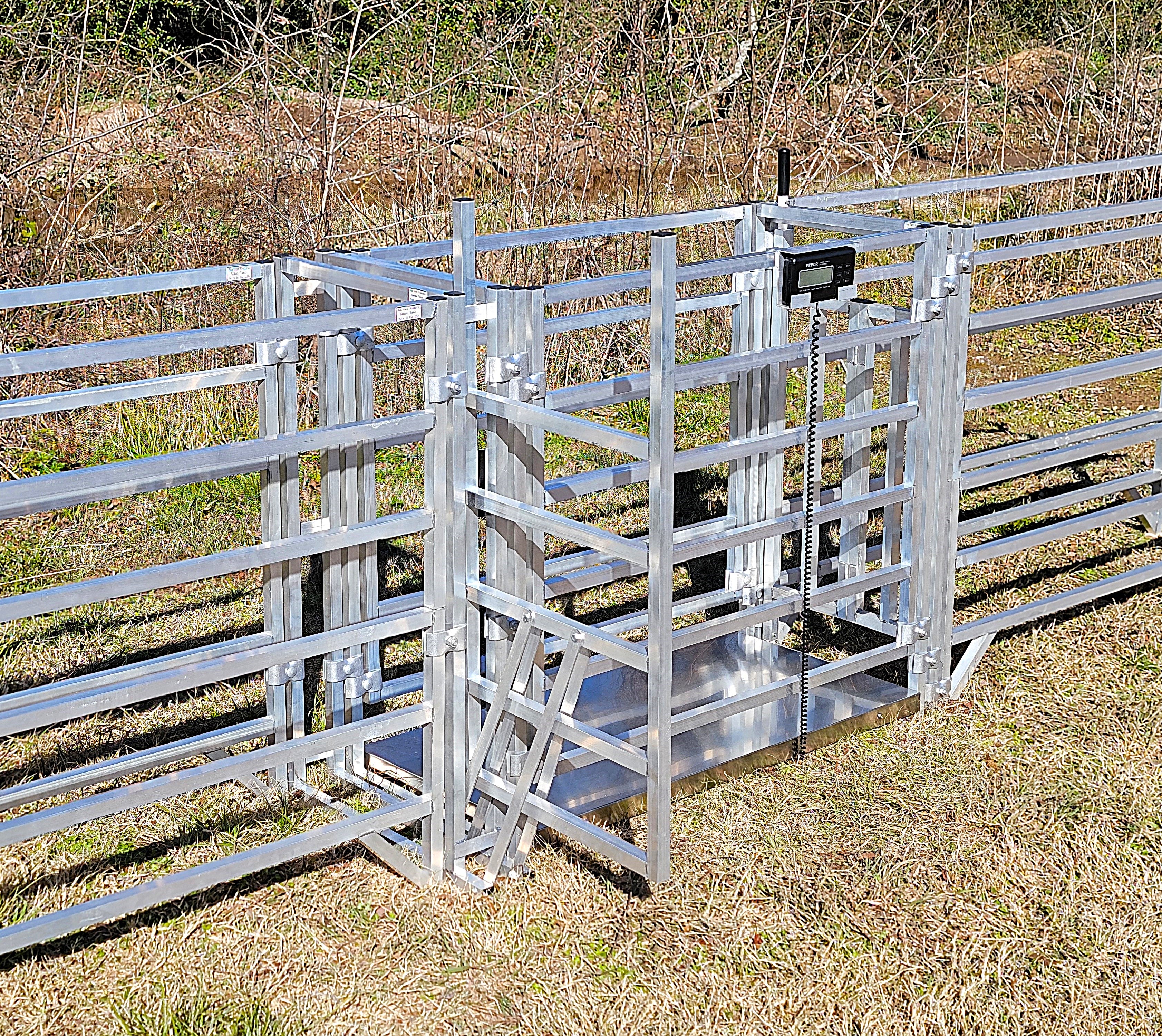 Aluminum 40-Inch-Tall Sheep & Goat Digital Weight Scale for Sorting Alley & Pen Systems