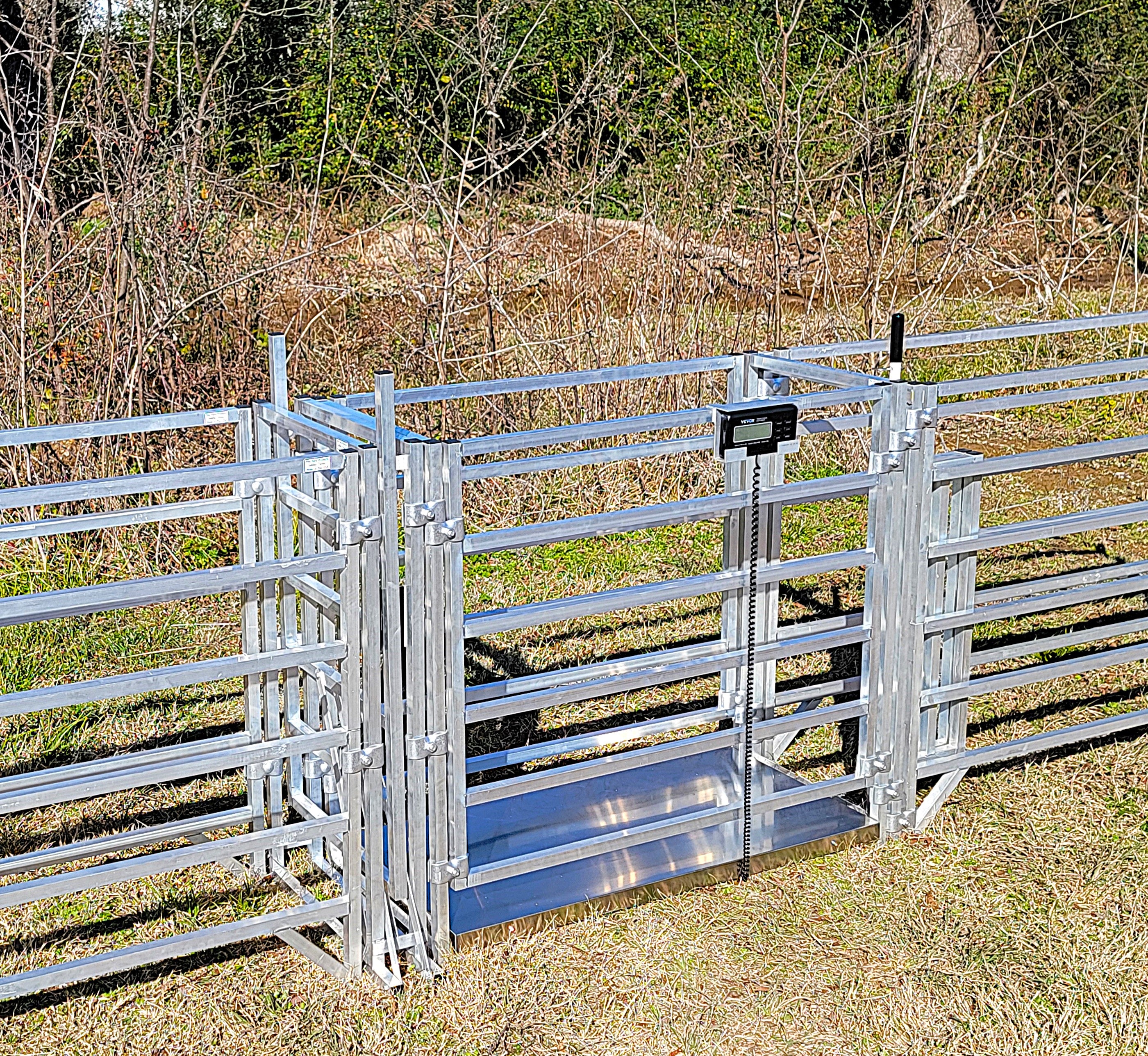 Aluminum 40-Inch-Tall Sheep & Goat Digital Weight Scale for Sorting Alley & Pen Systems