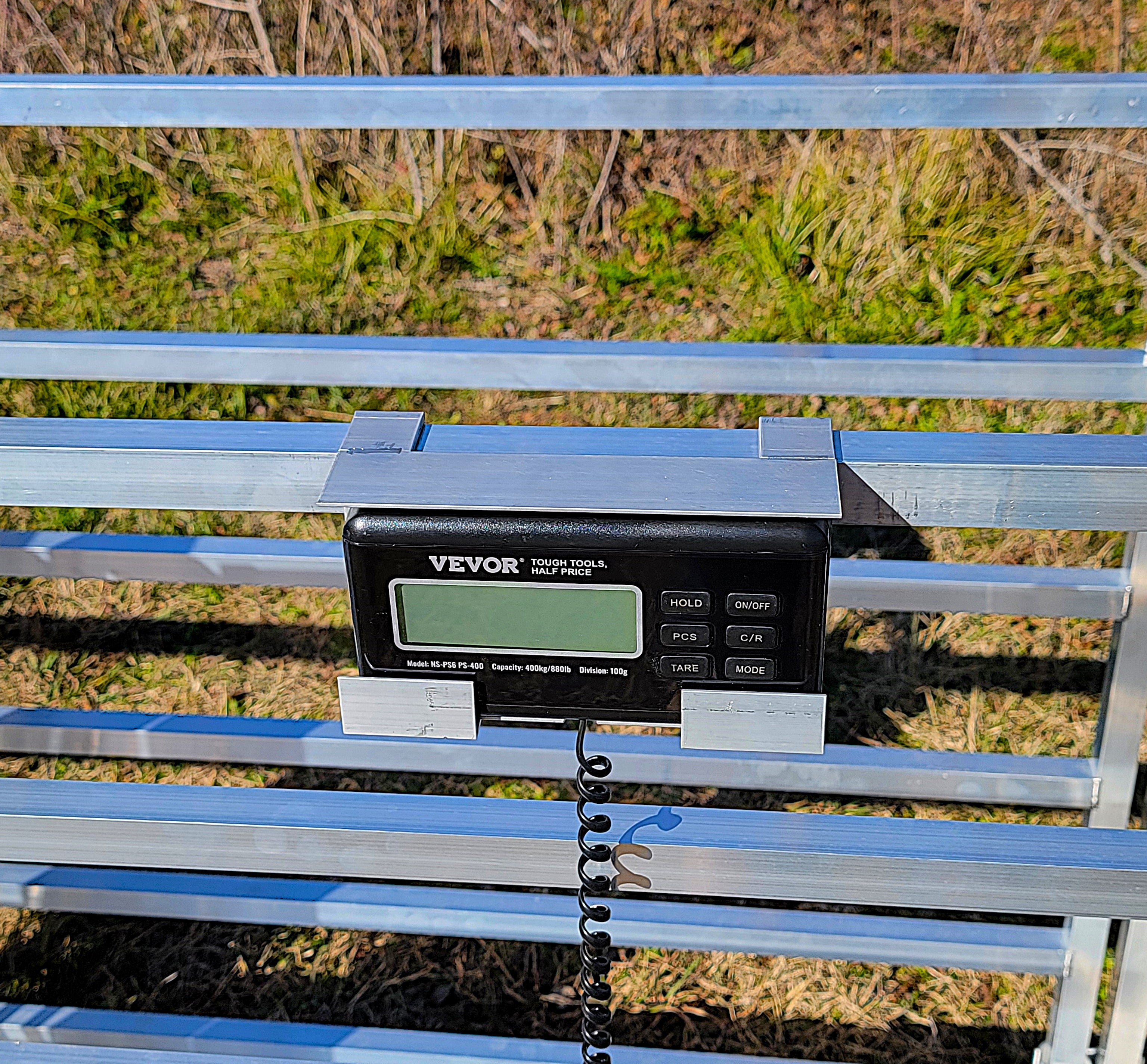 Aluminum 40-Inch-Tall Sheep & Goat Digital Weight Scale for Sorting Alley & Pen Systems