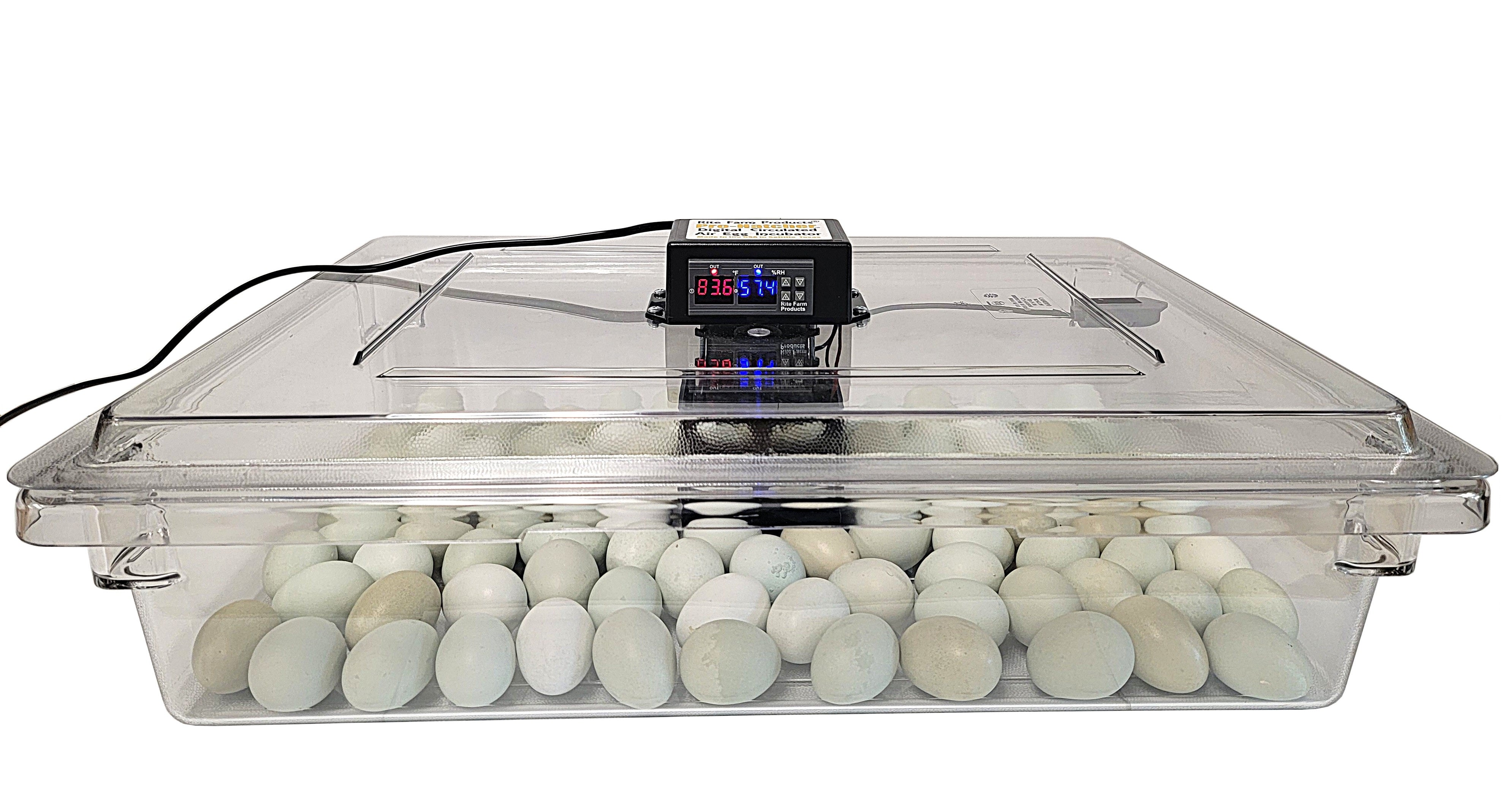 Rite Farm Products PRO Hatcher Incubator for Egg Tray Transfer from Cabinet Incubators