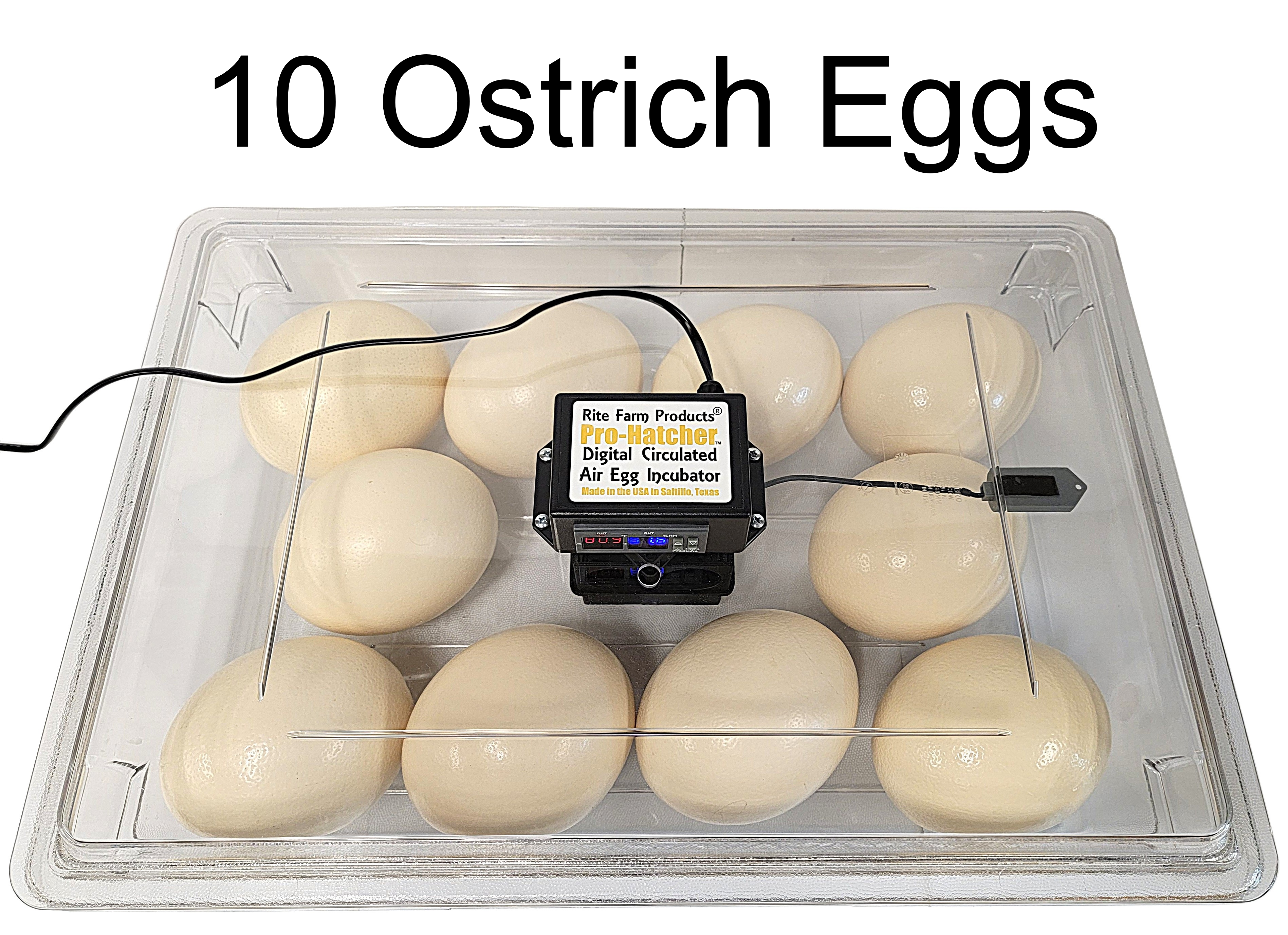Rite Farm Products PRO Hatcher Incubator for Egg Tray Transfer from Cabinet Incubators