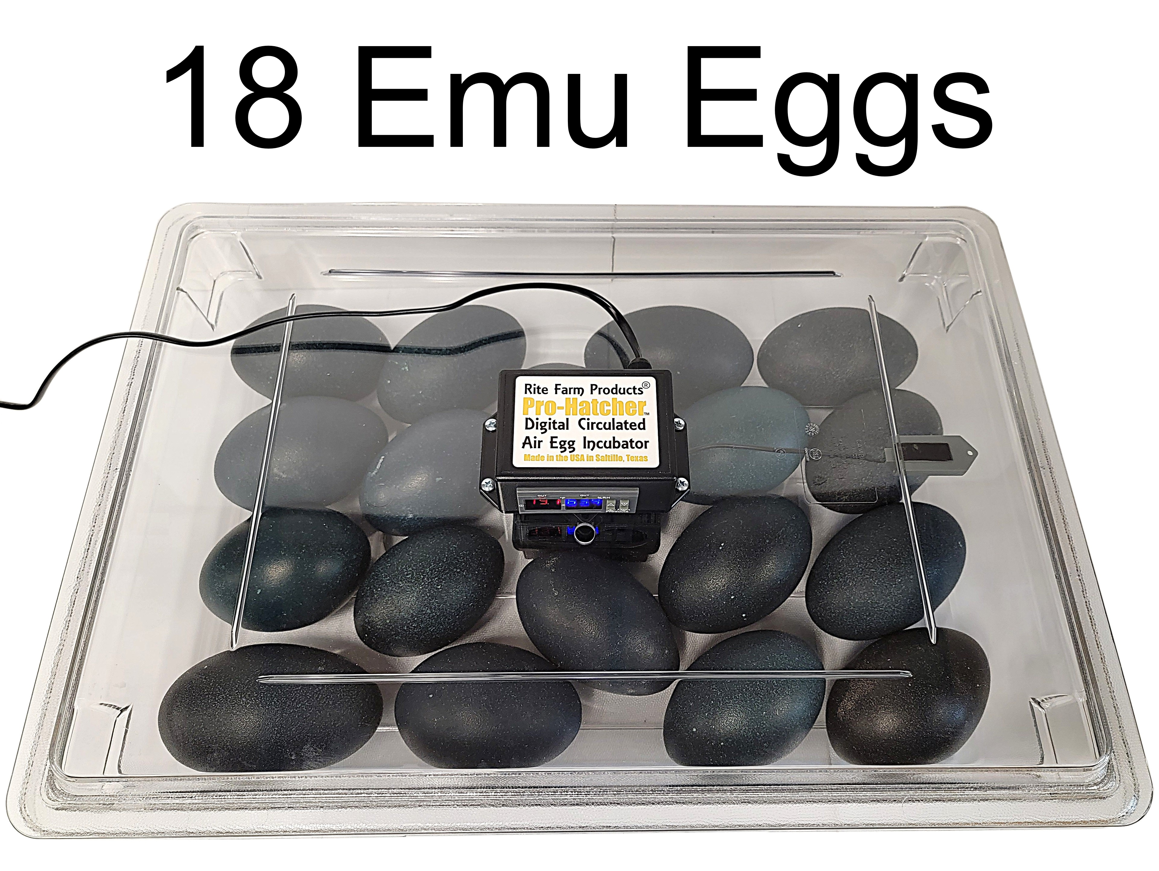 Rite Farm Products PRO Hatcher Incubator for Egg Tray Transfer from Cabinet Incubators