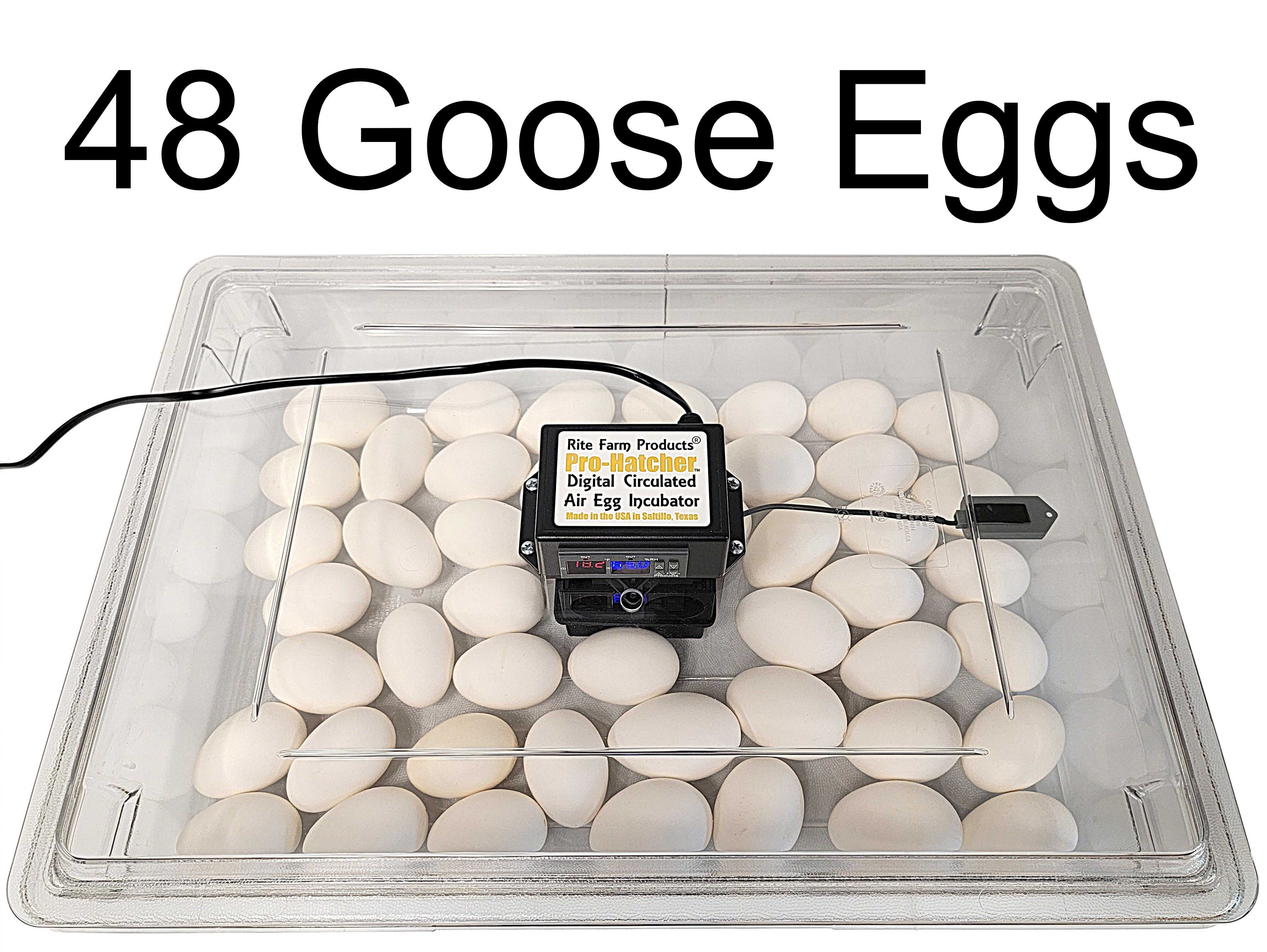 Rite Farm Products PRO Hatcher Incubator for Egg Tray Transfer from Cabinet Incubators