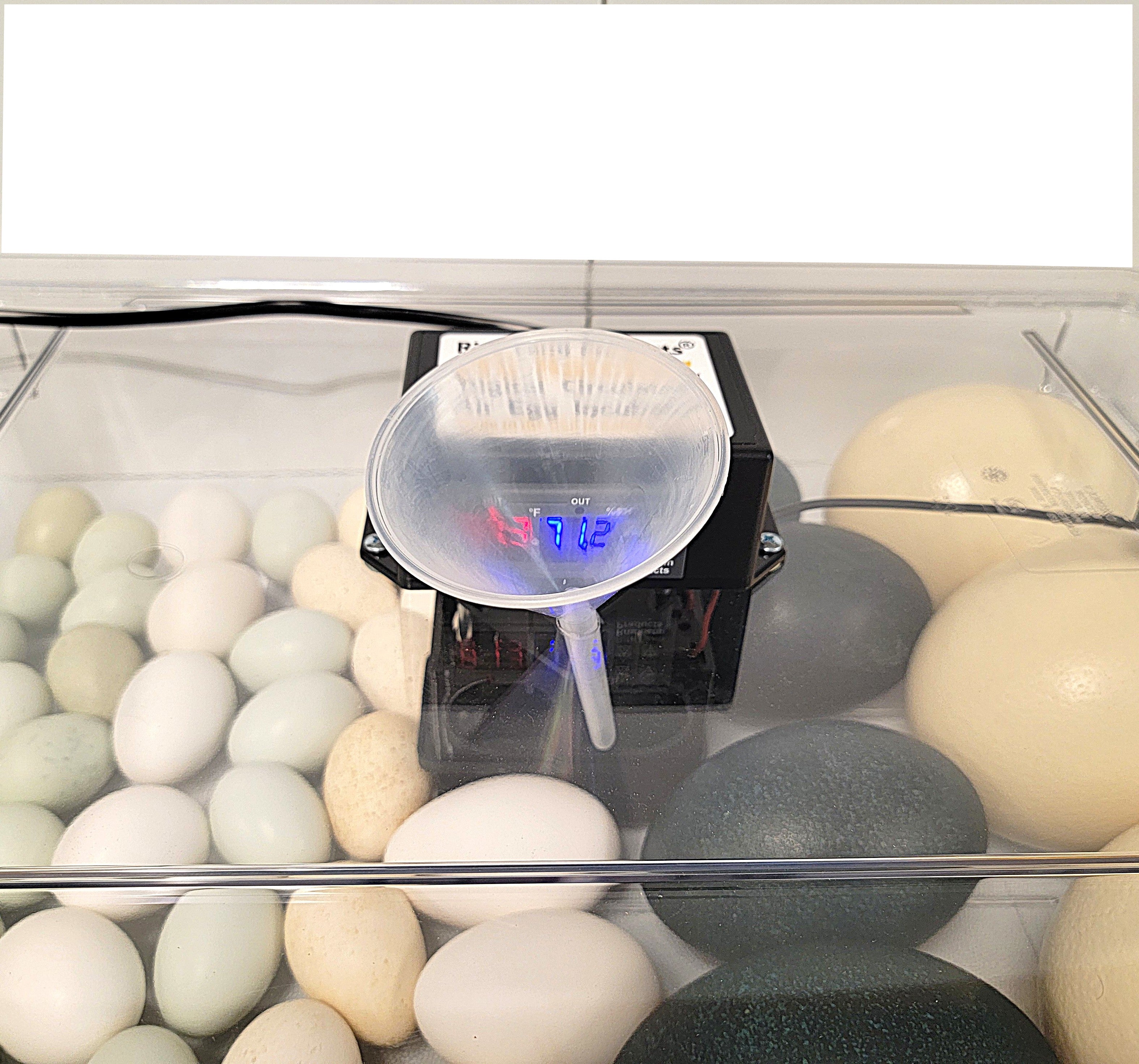 Rite Farm Products PRO Hatcher Incubator for Egg Tray Transfer from Cabinet Incubators