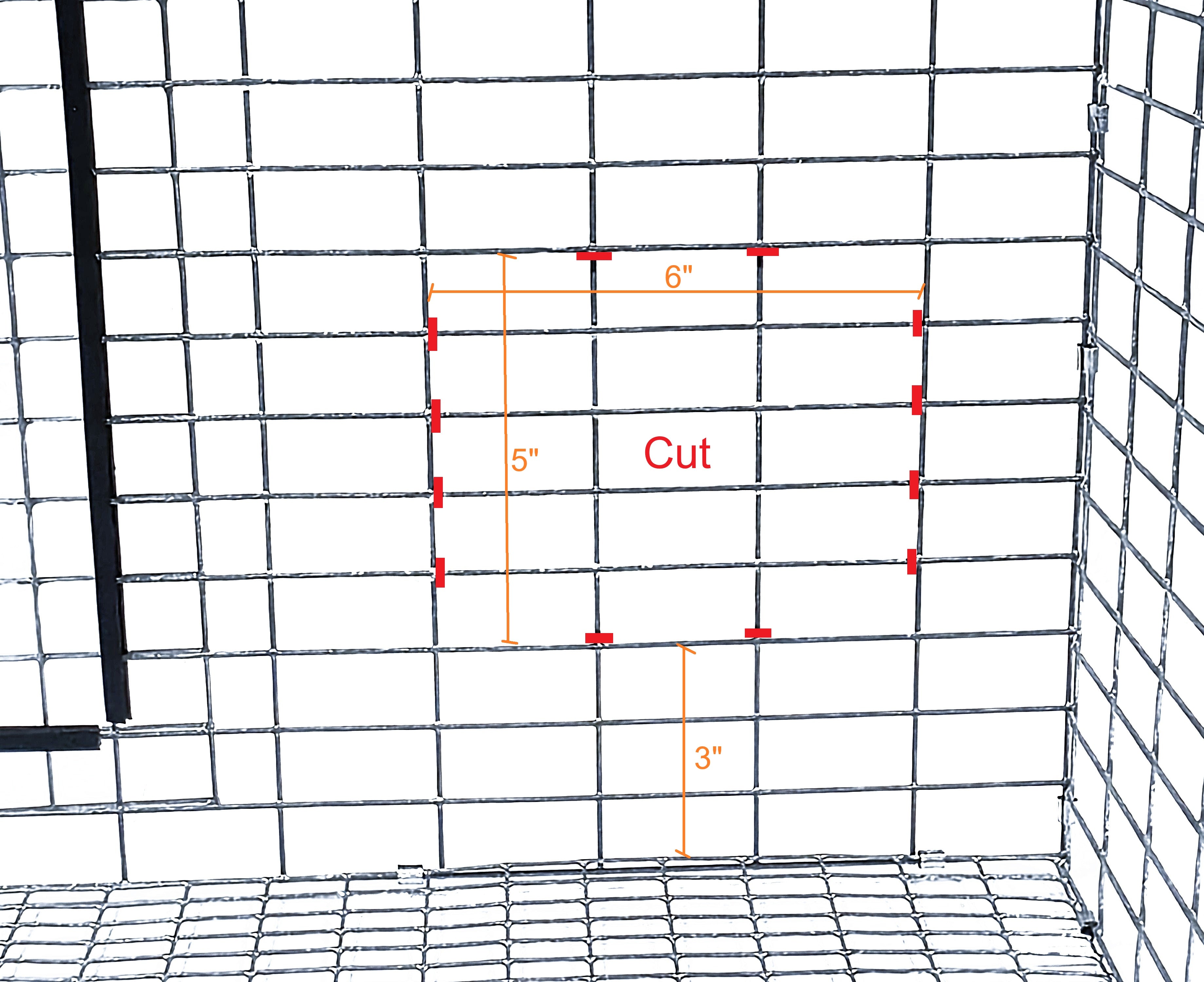 Blue Texas USA Made 6-Inch Cage Hanging Rabbit Feeder with ID Tag for Rabbit Pellet Feed with a Sifter Base