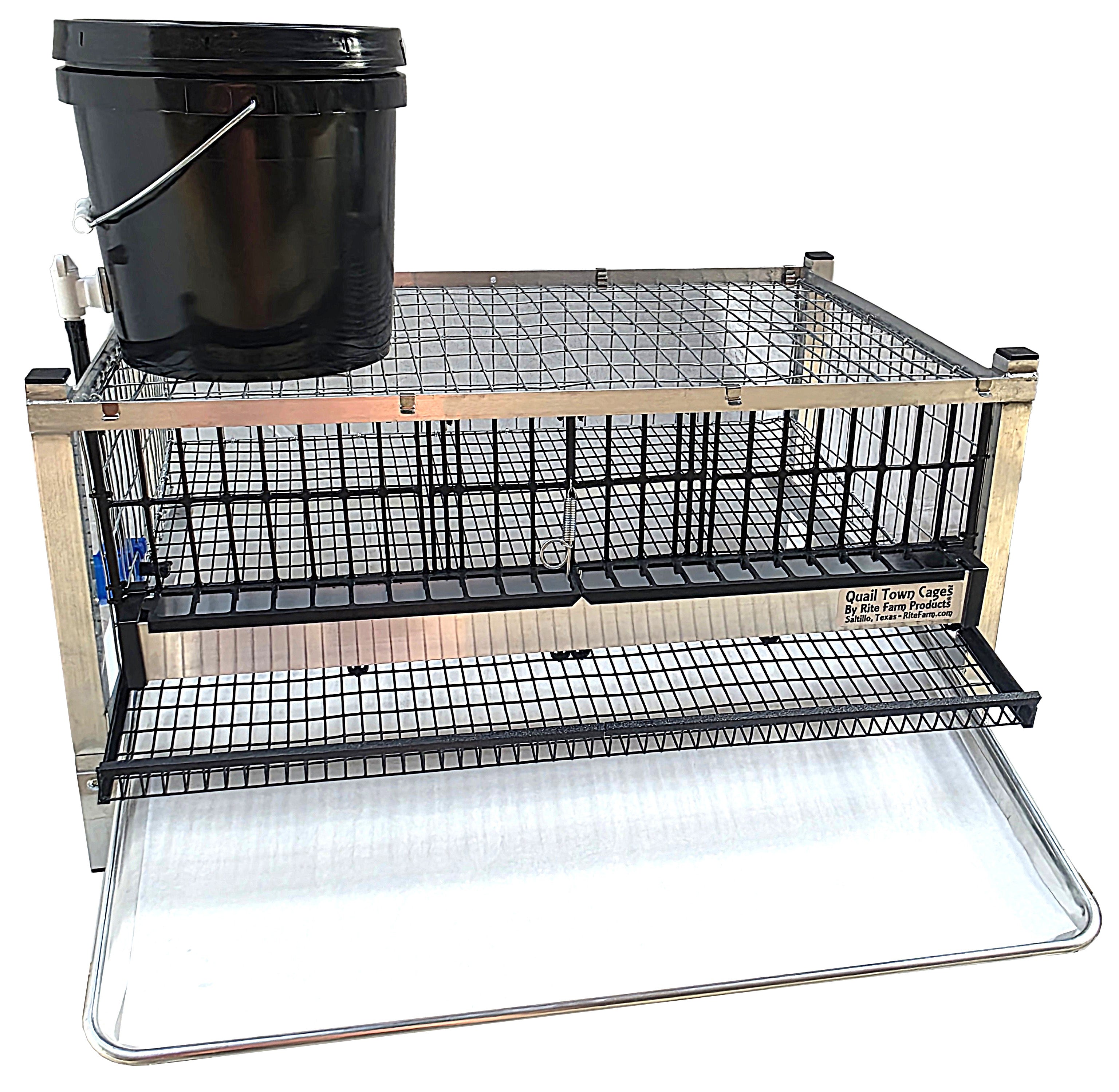 Quail Town Cages by Rite Farm Products - Pro Modular Quail Grow Out & Layer Cage Tower System Transparent Reservoir