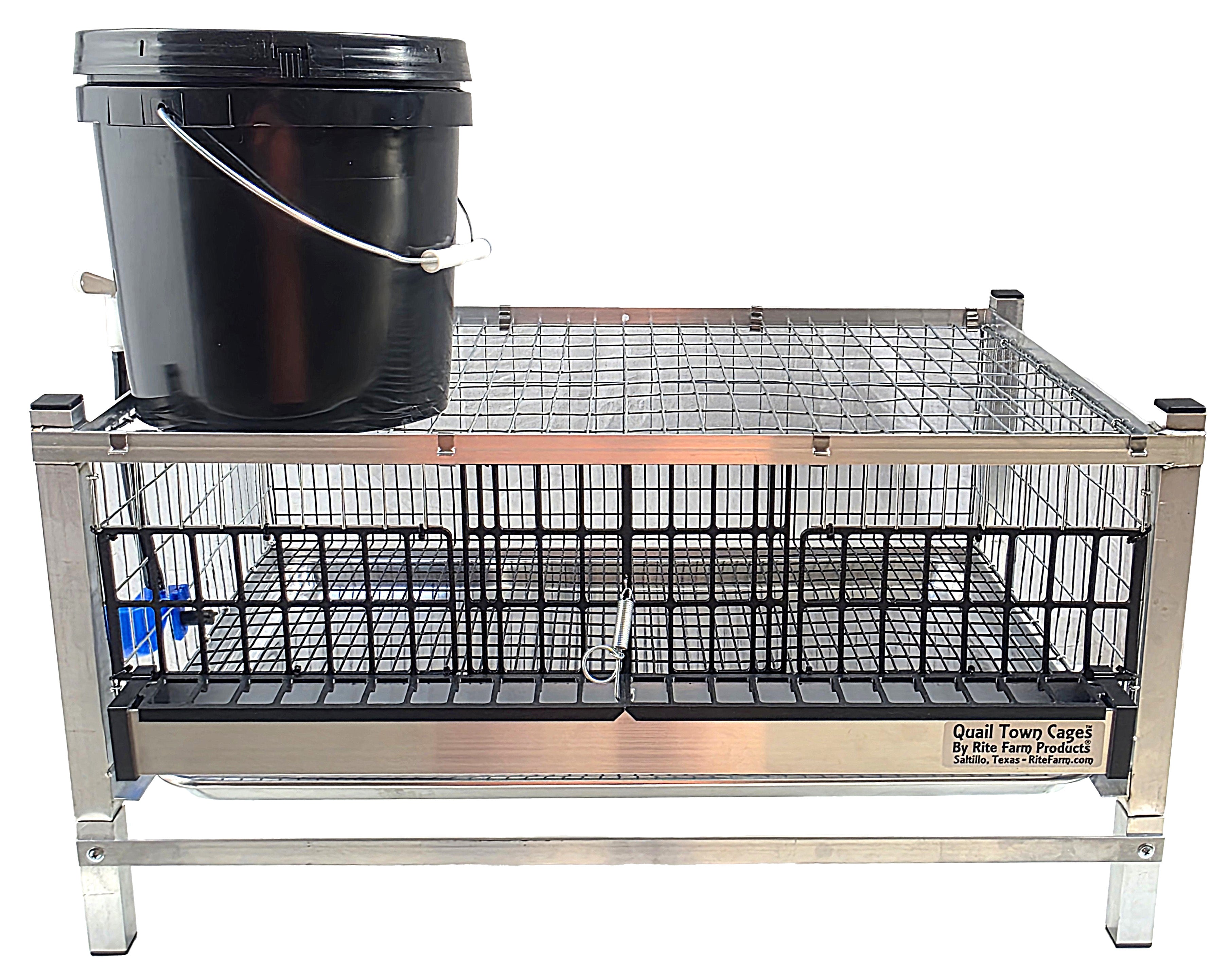 Quail grow-out cage with front wire mesh and mounted black feed bucket