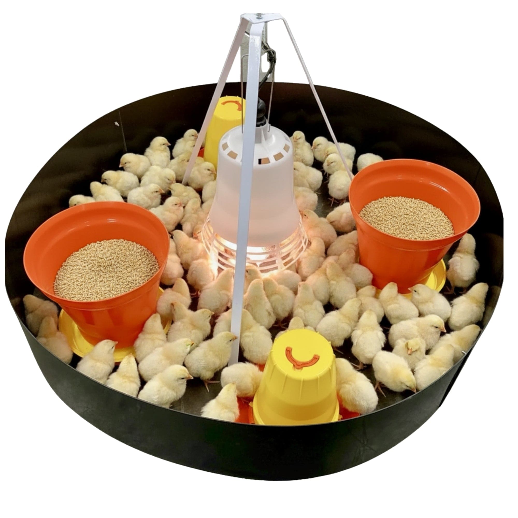 SureGrow 100 Chick Brooder - Infrared Electric Brooder