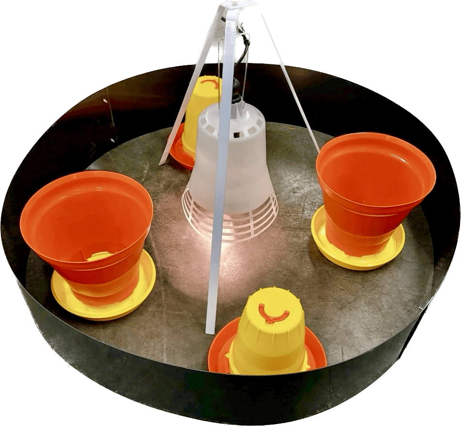 SureGrow 100 Chick Brooder - Infrared Electric Brooder
