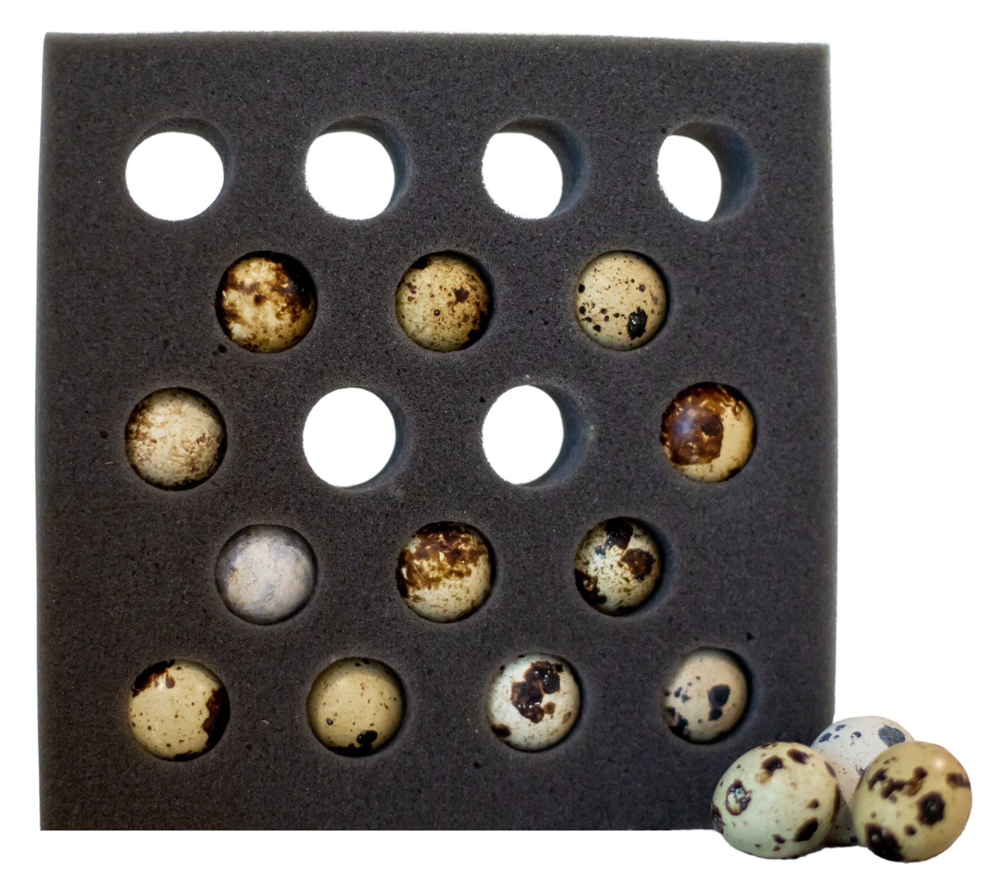 18 Egg Quail Foam Shipper (Standard Size)