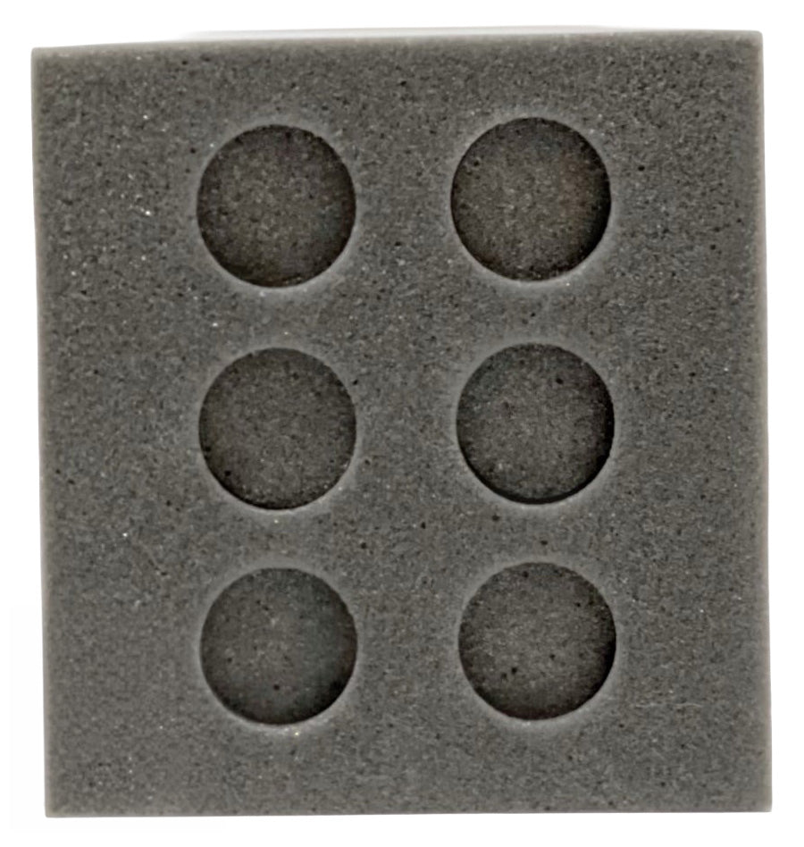 6 Chicken Egg Foam Shipper Set (Standard)