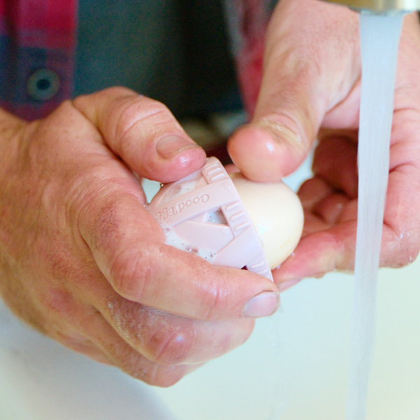 The Full Eggcellent Kit - Original Egg Brush™ Washing Cleaning