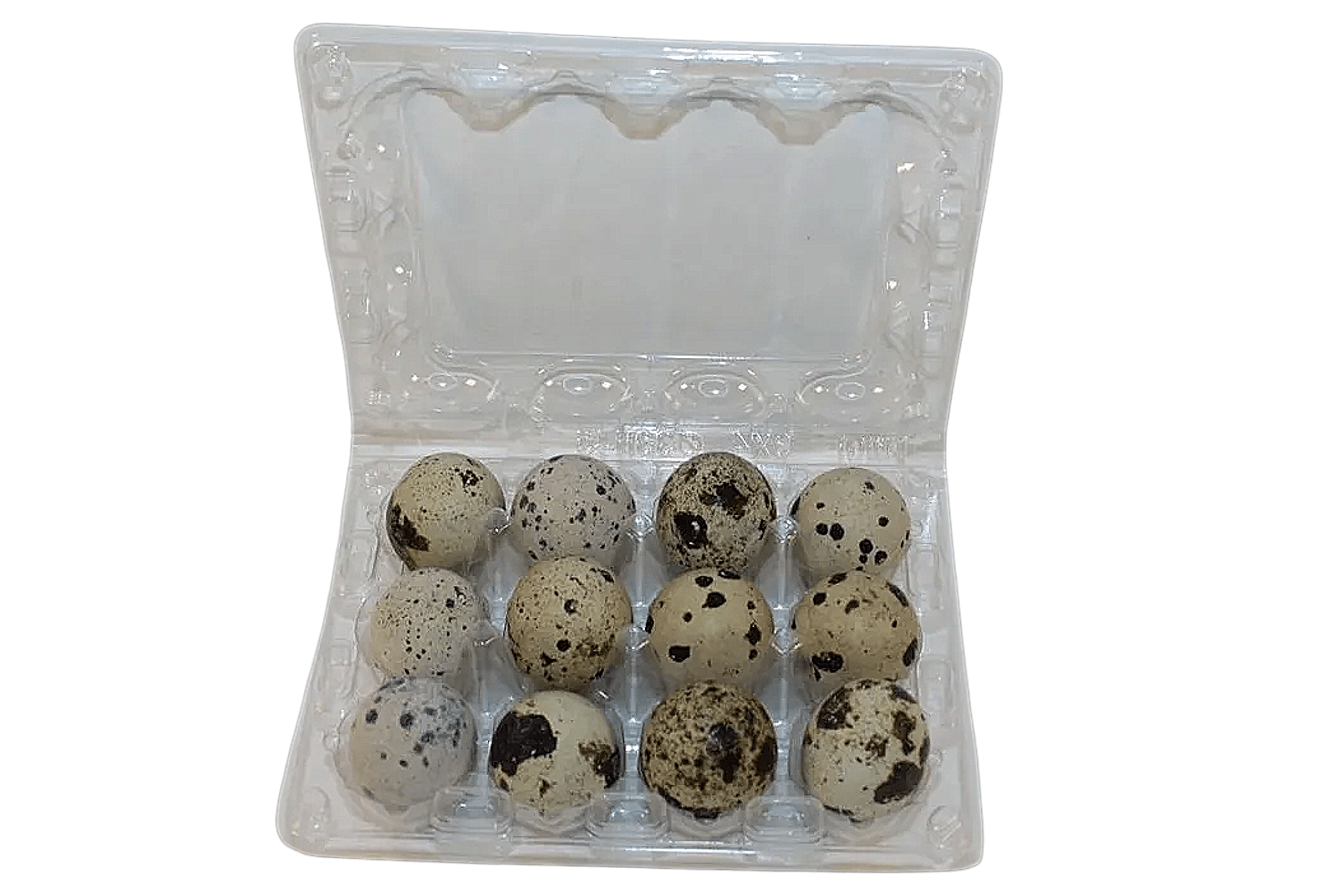 12-cell Large Jumbo Quail/Pigeon Egg Cartons (3x4)