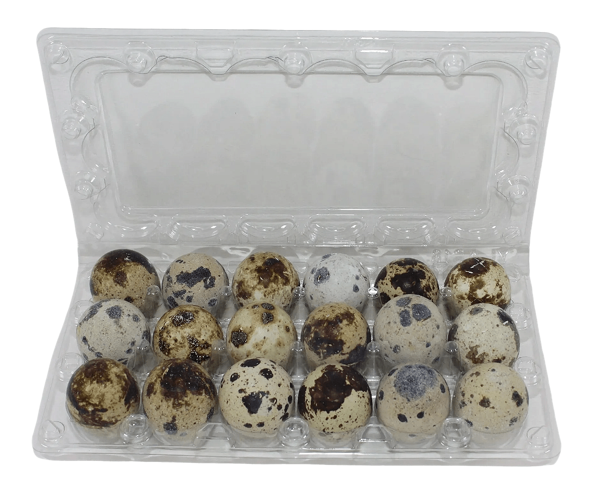 18-cell Jumbo Quail Egg Cartons (3x6)