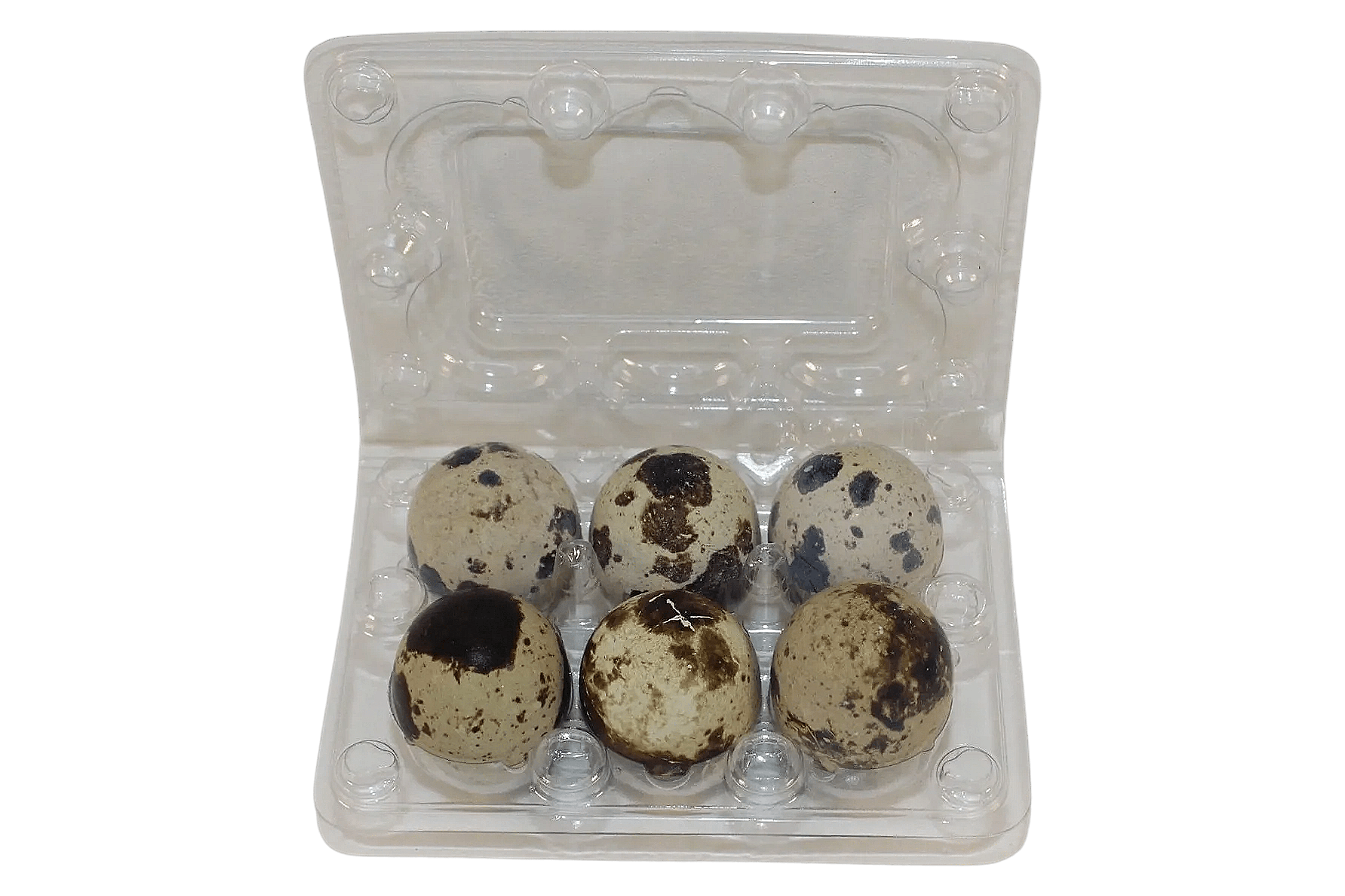 6-cell Jumbo Quail Egg Cartons (2x3)