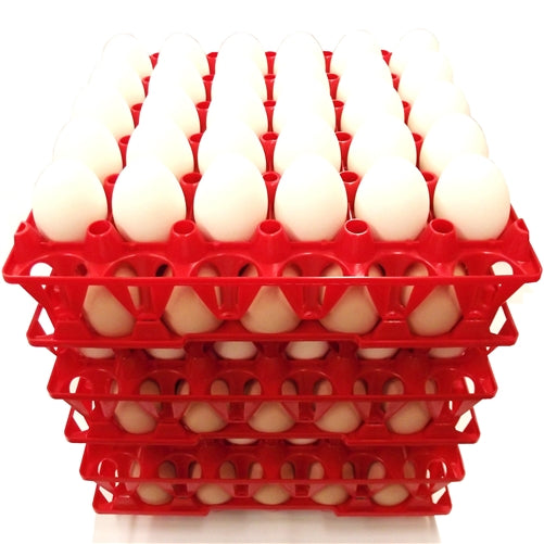 24 Pack of Rite Farm Products 30 Chicken Egg Poly Trays