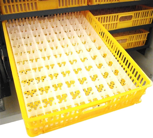 Rite Farm Products Pro-1056 Cabinet Incubator & Hatcher