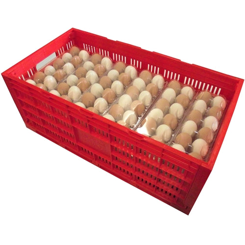 Rite Farm Products Chicken Egg Transport Crate