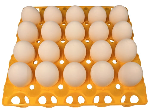 12 Pack of 20 Duck, Goose, Turkey, & Peafowl Size Egg Trays