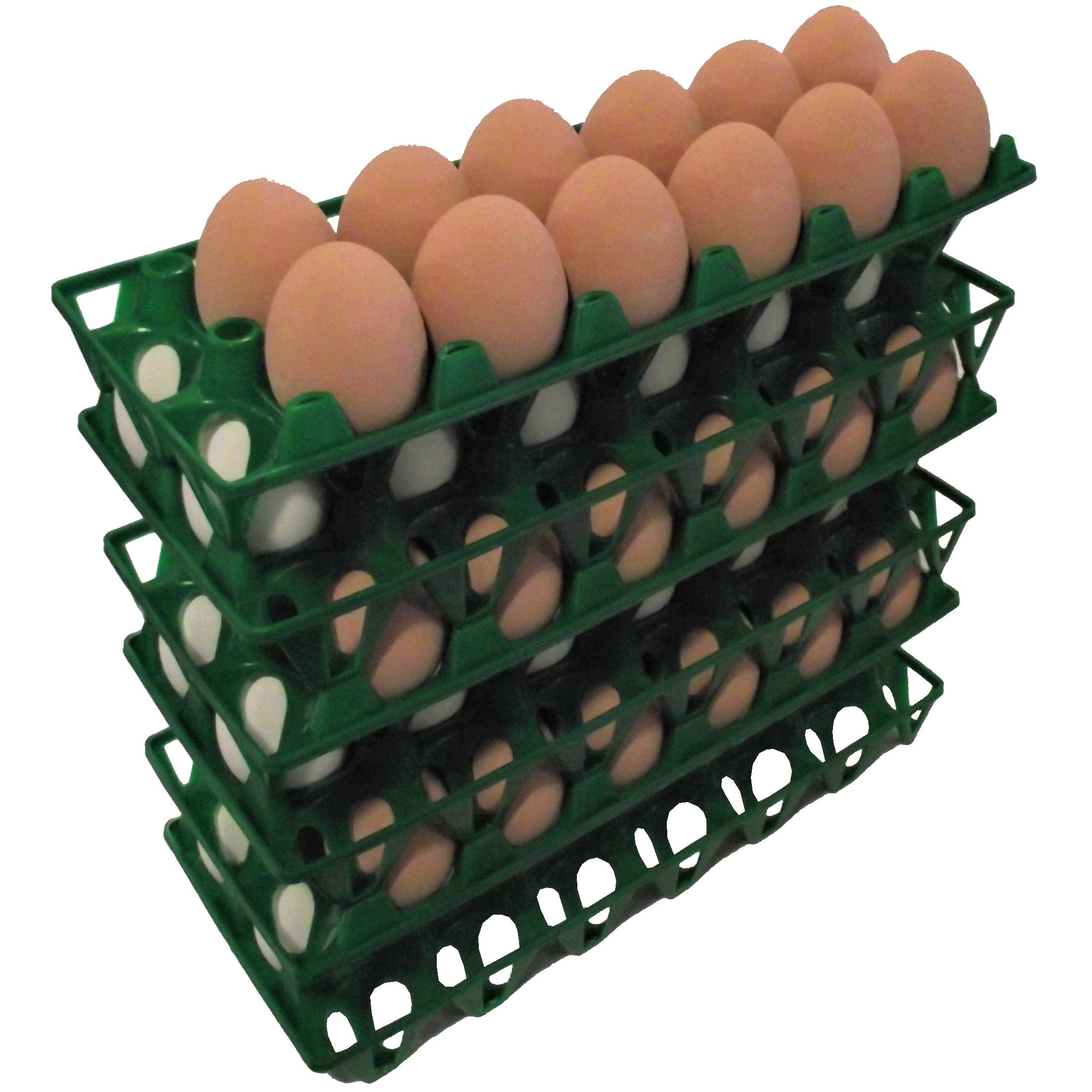 12 Pack of Rite Farm Products 12 Chicken Egg Poly Trays