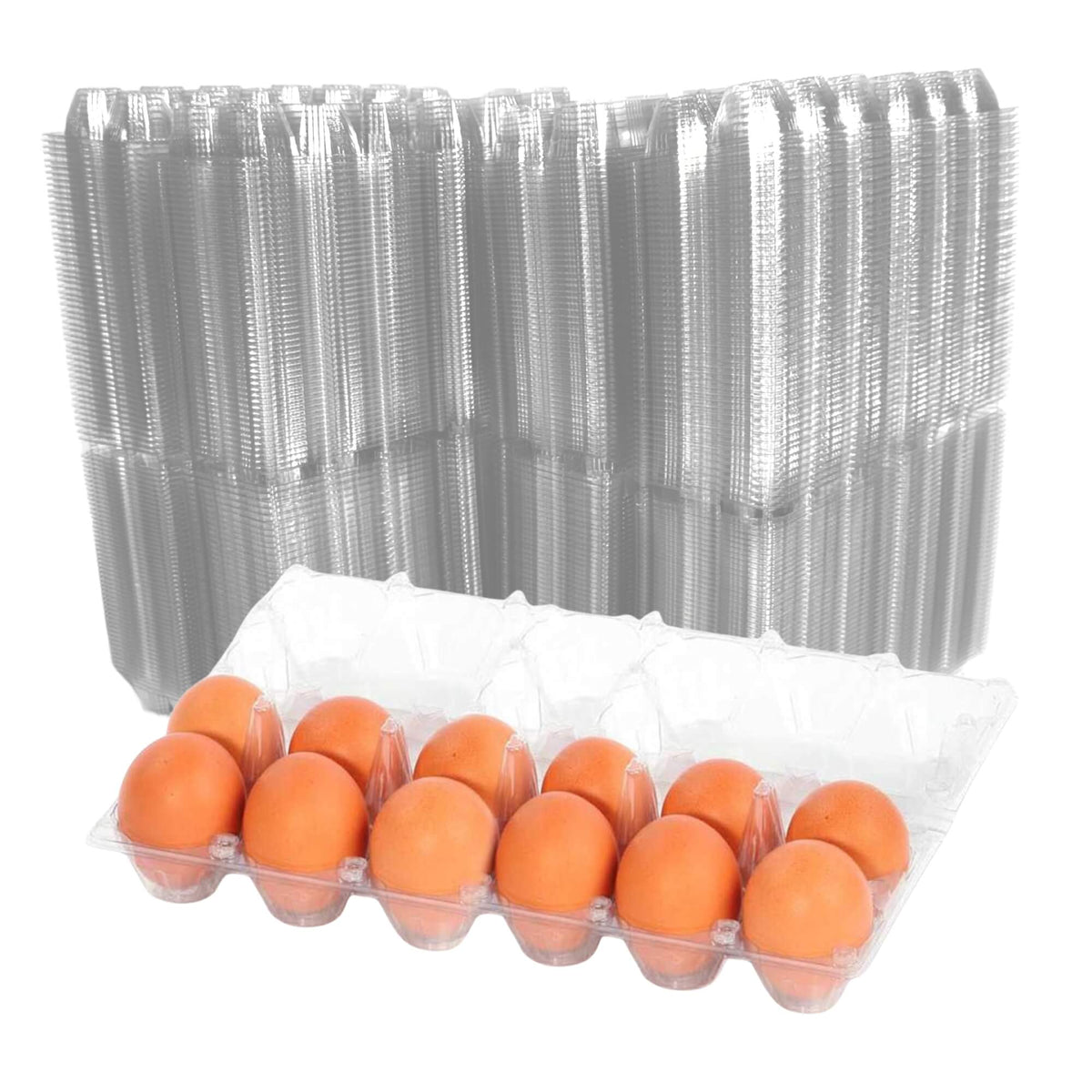 12-Egg Cartons - Clear Plastic