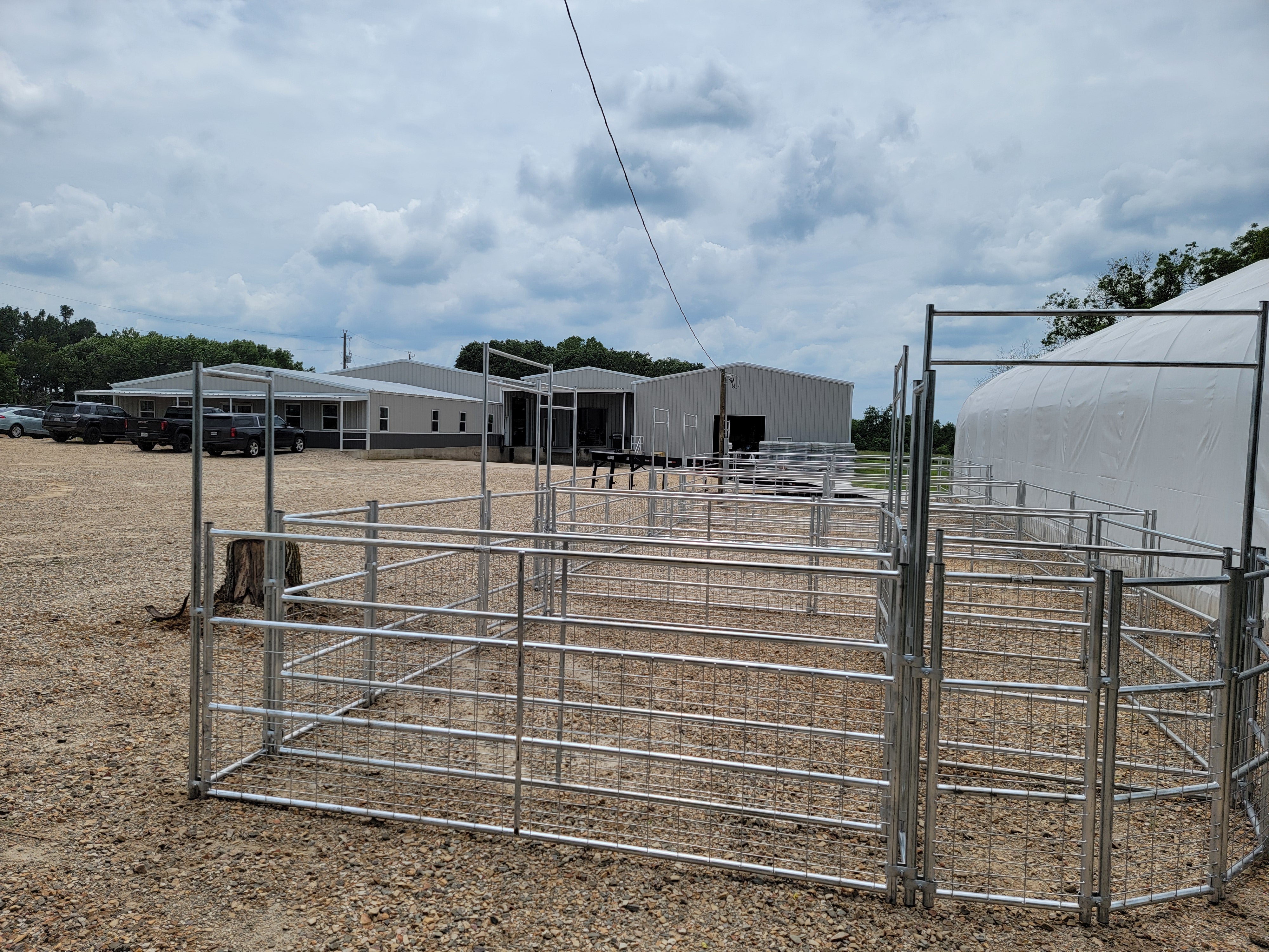 Galvanized 12-16 Head Goat/Sheep Working System 4-Rail with Mesh