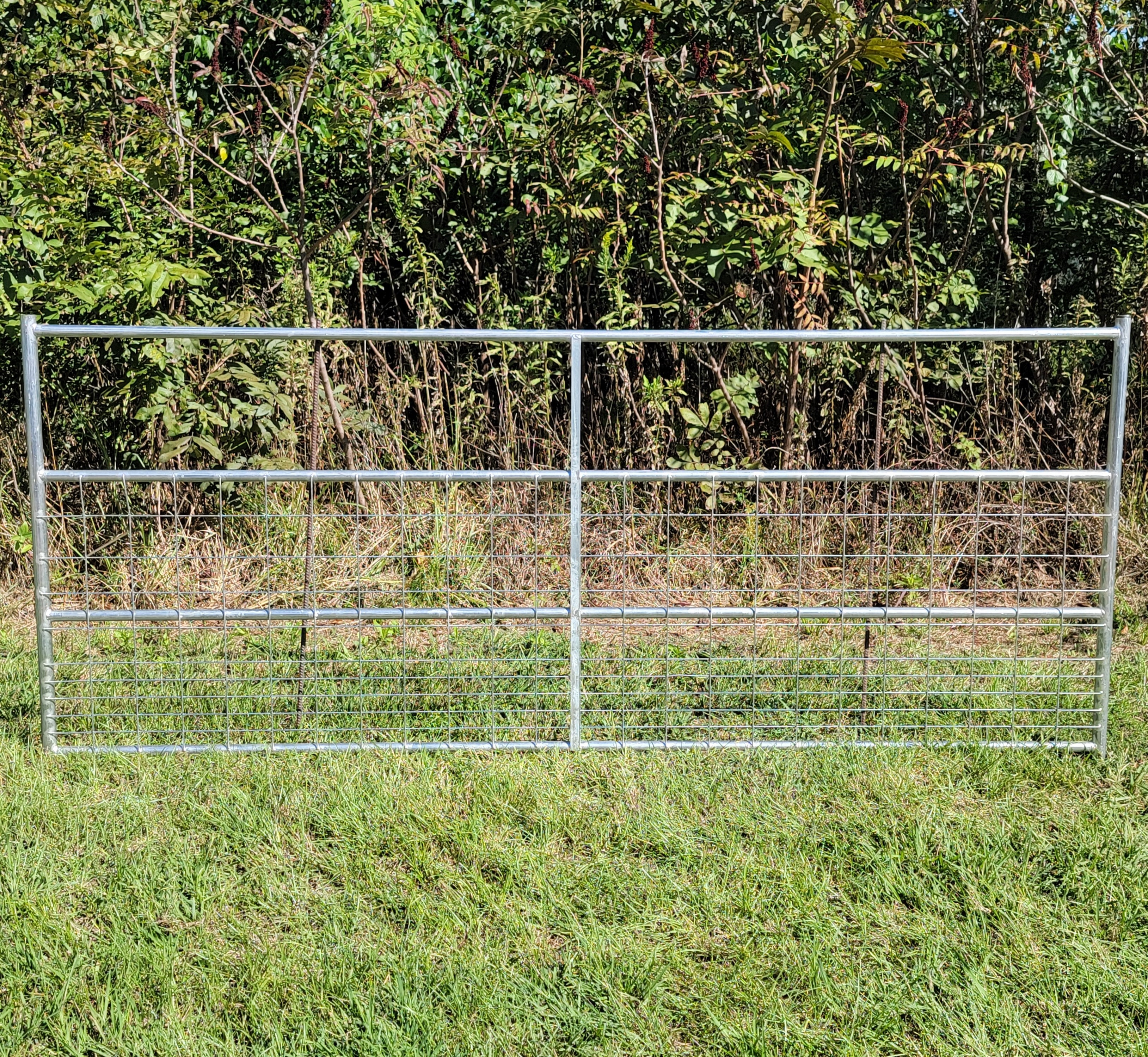 Galvanized 10 Ft Long 4 Rail with Mesh Panel for Small Livestock