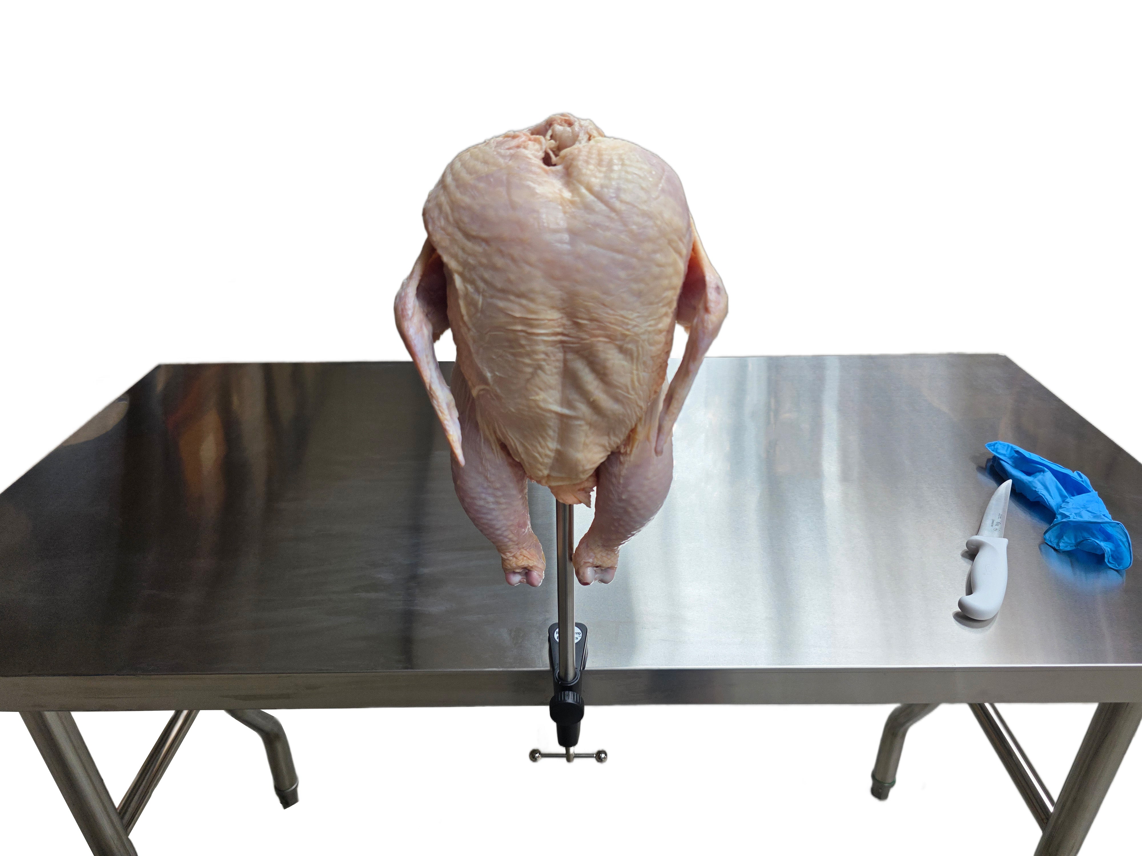 Chicken Cut Up Cone Poultry Deboning Parting Piecing Out Stand Holder