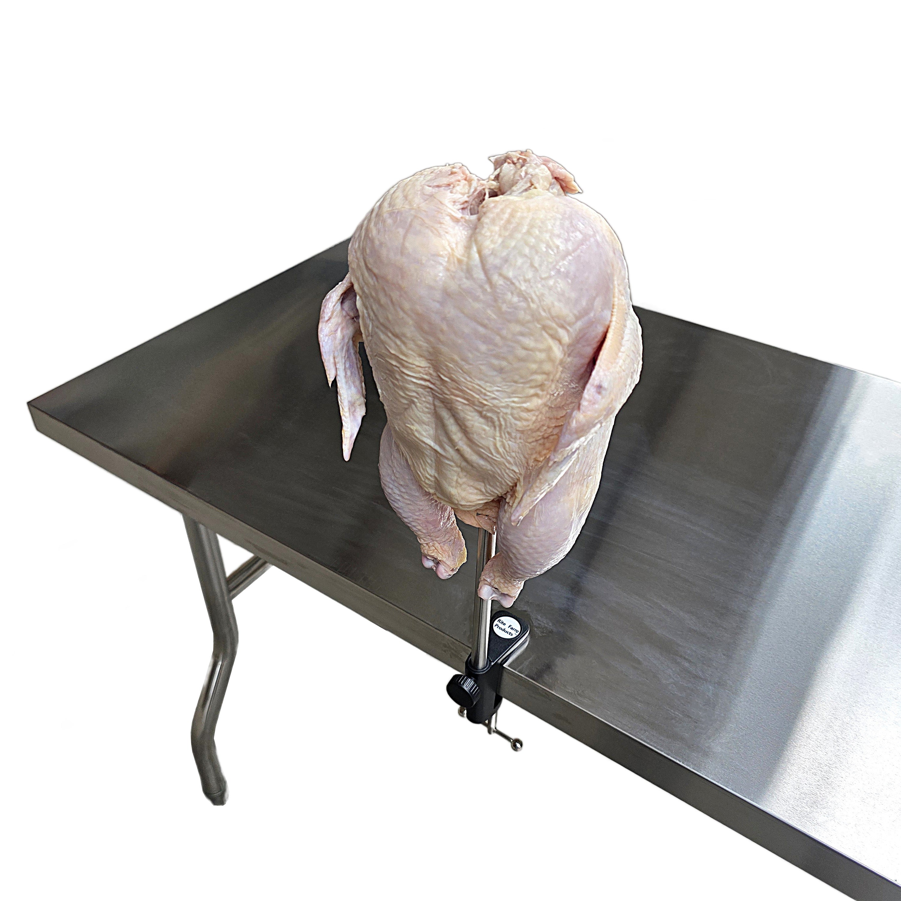 Chicken Cut Up Cone Poultry Deboning Parting Piecing Out Stand Holder