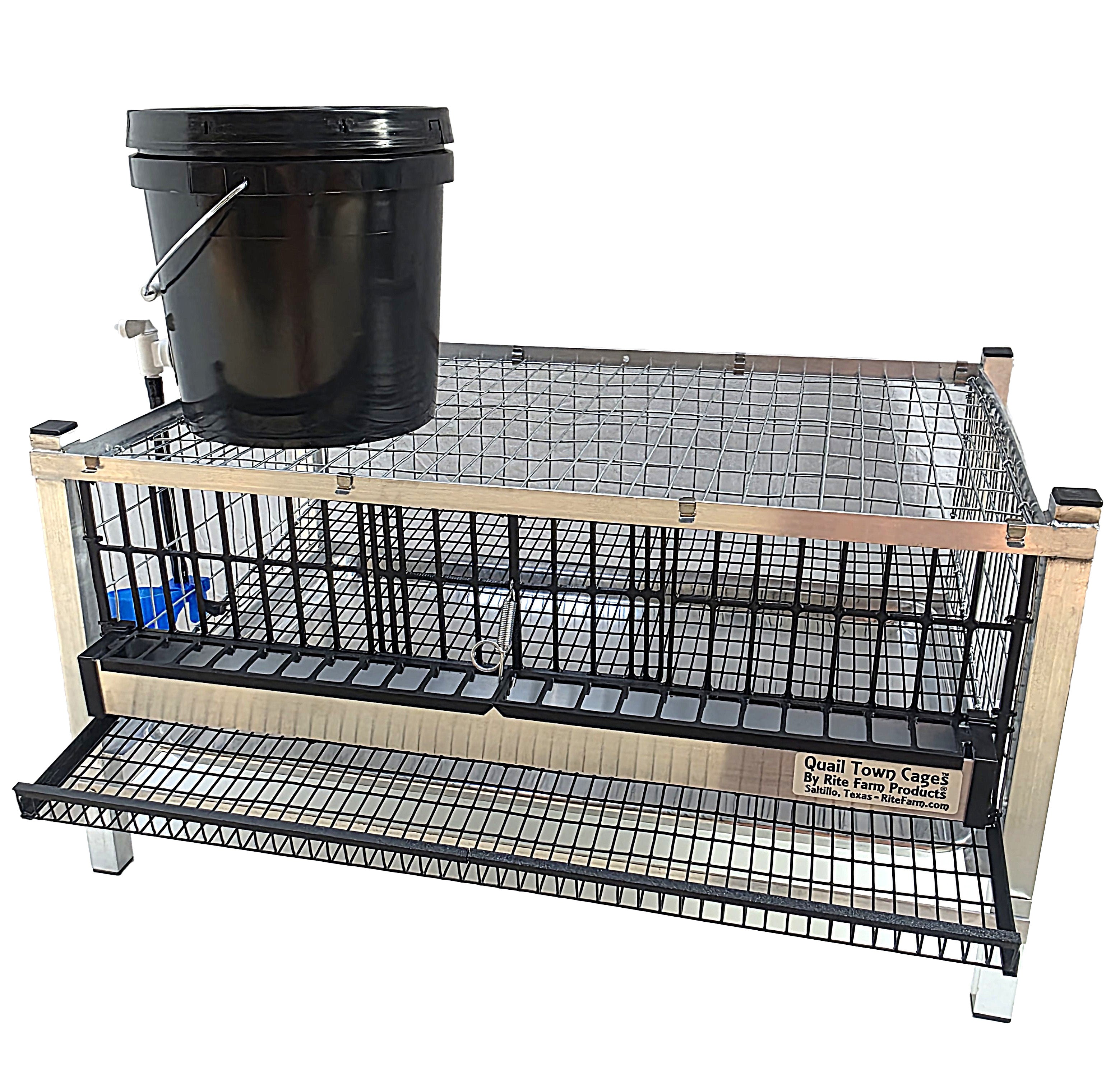 Quail layer cage with black feeder bucket on top and mesh rollout trays