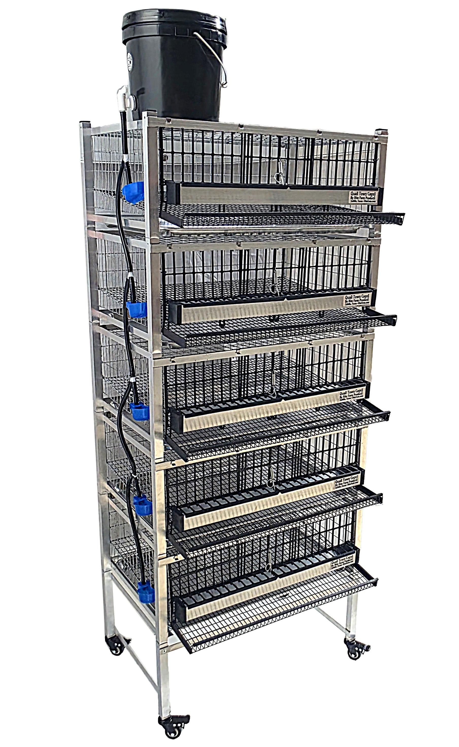 Quail Town Cages by Rite Farm Products - Pro Modular Quail Grow Out & Layer Cage Tower System Transparent Reservoir