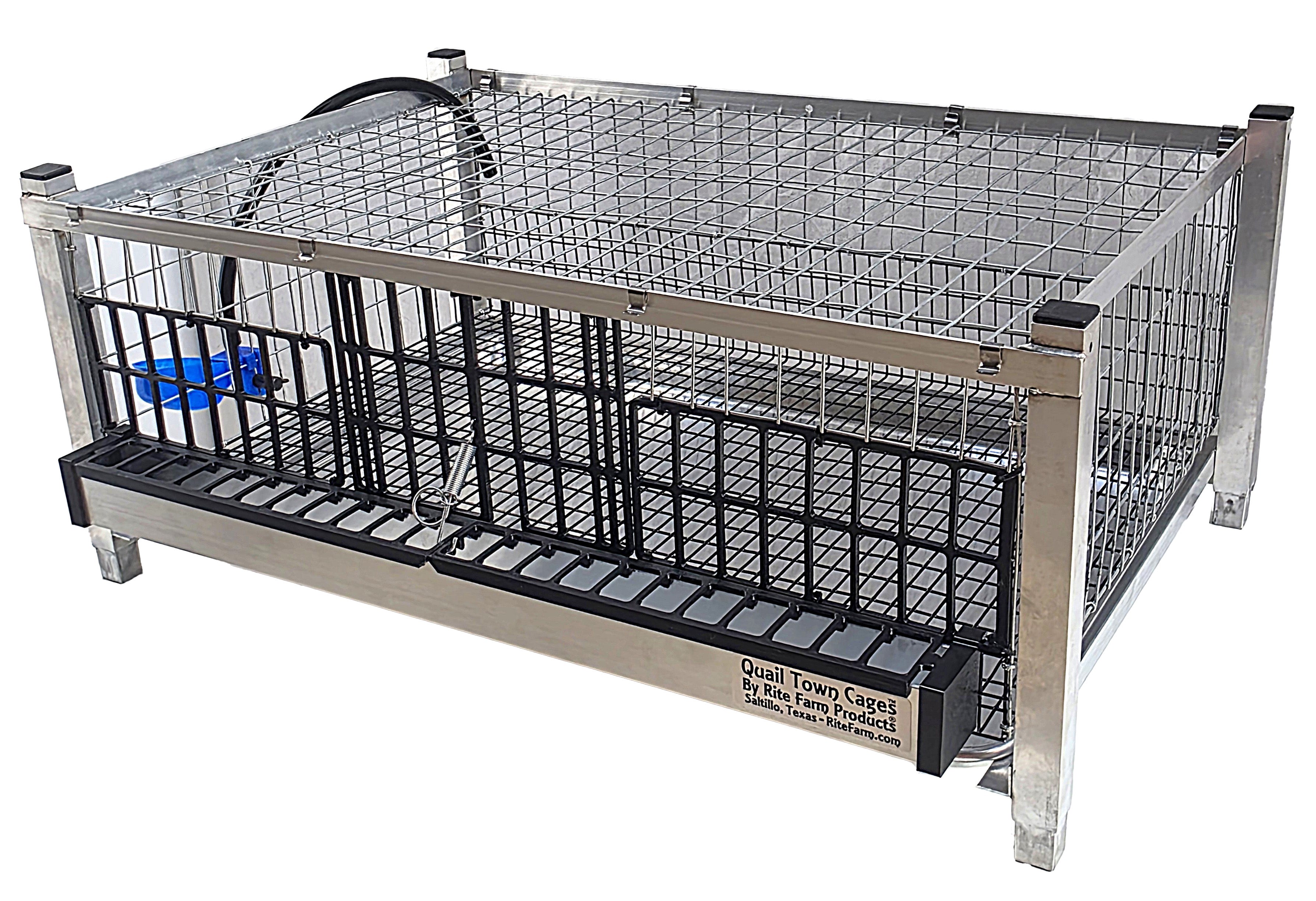 Modular quail grow-out cage with hinged front panel and wire floor