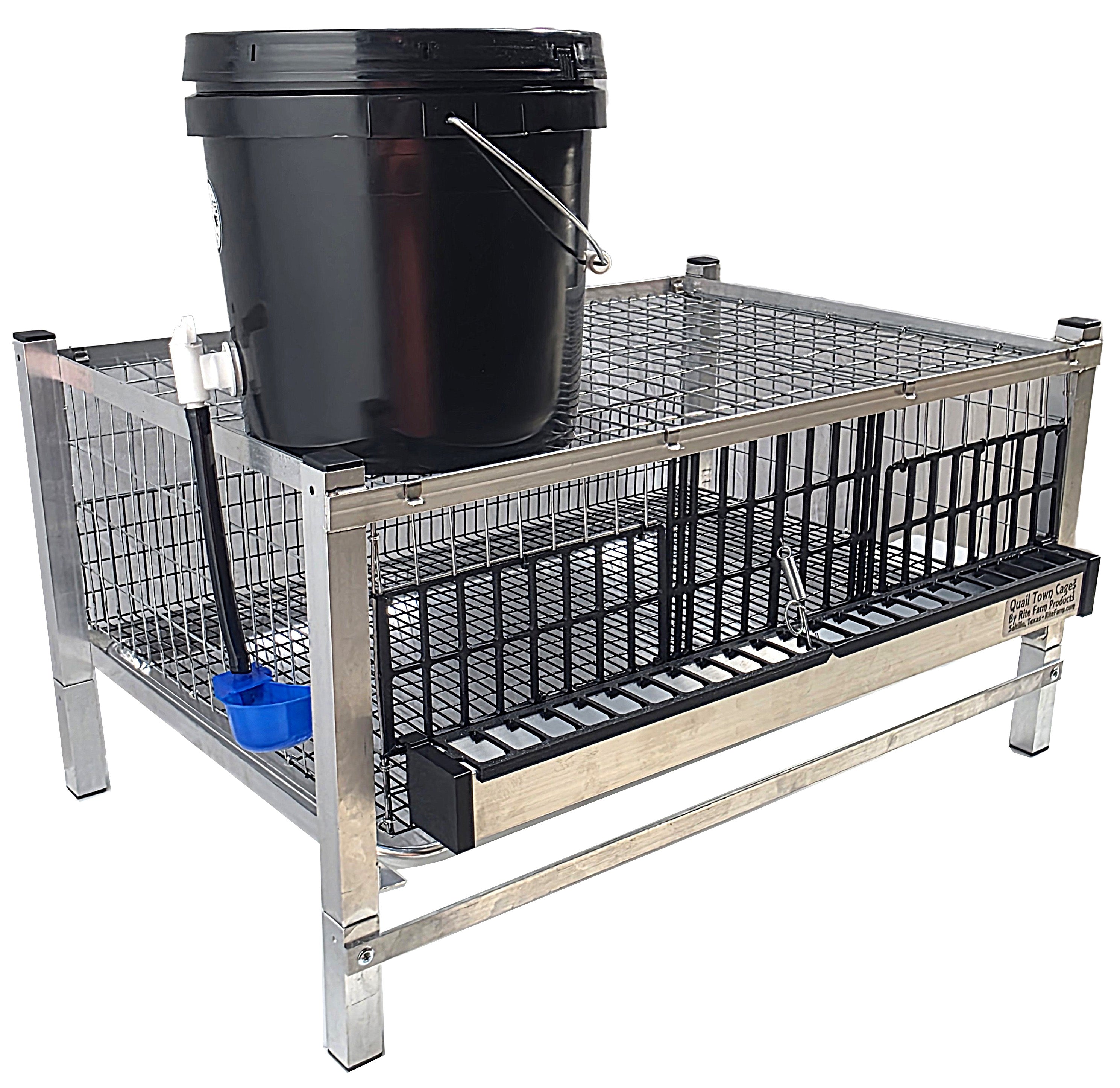 Modular quail grow-out cage with black feed bucket, blue waterer, and wire panels