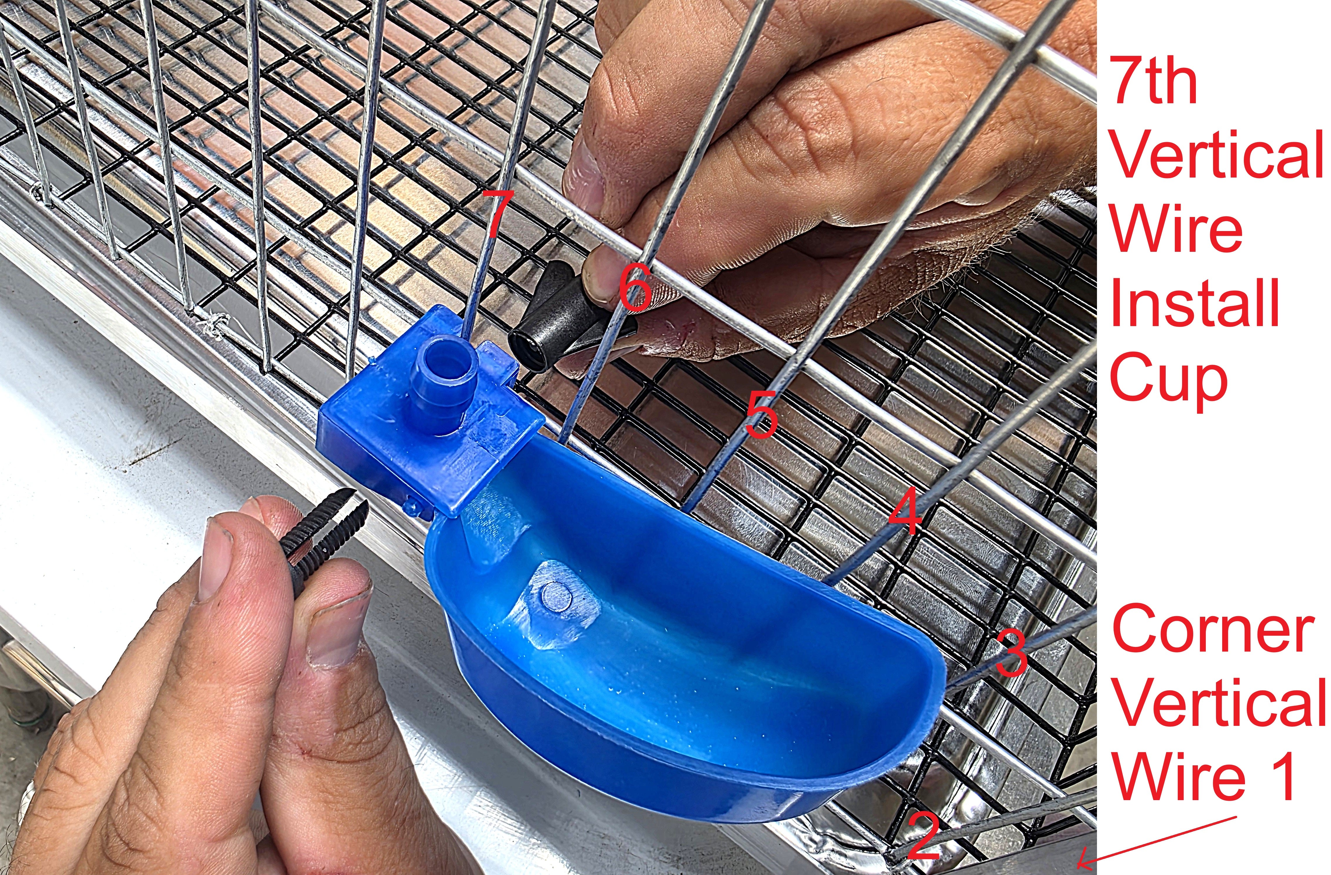 4 Pack of Blue Quail Auto Drinker Cage Cups with Y's and Clamp Nuts