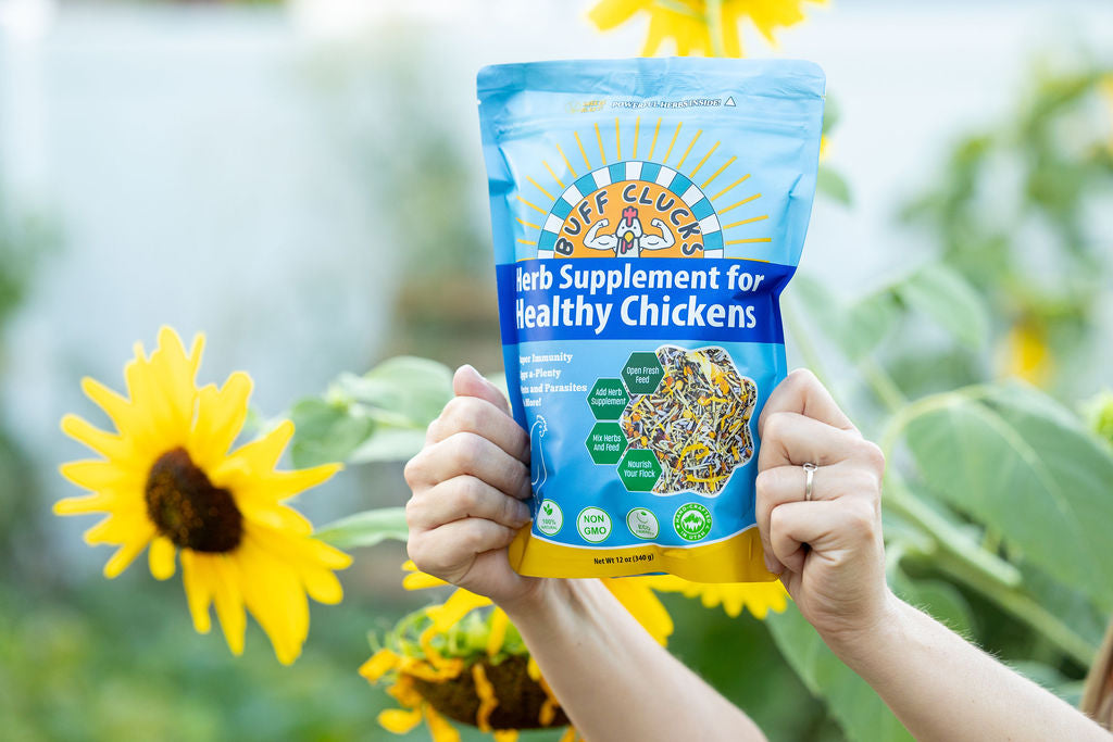 Herb Supplement For Backyard Chickens