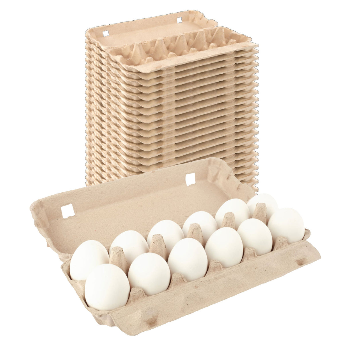 12-Egg Carton (1x12) - Natural Pulp, Flat Blank Top