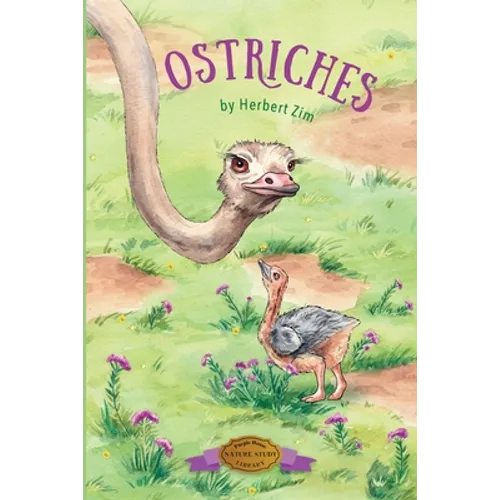 Ostriches - Paperback