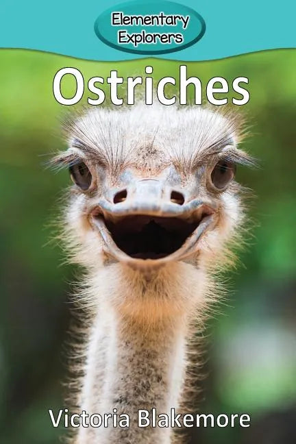 Ostriches - Paperback