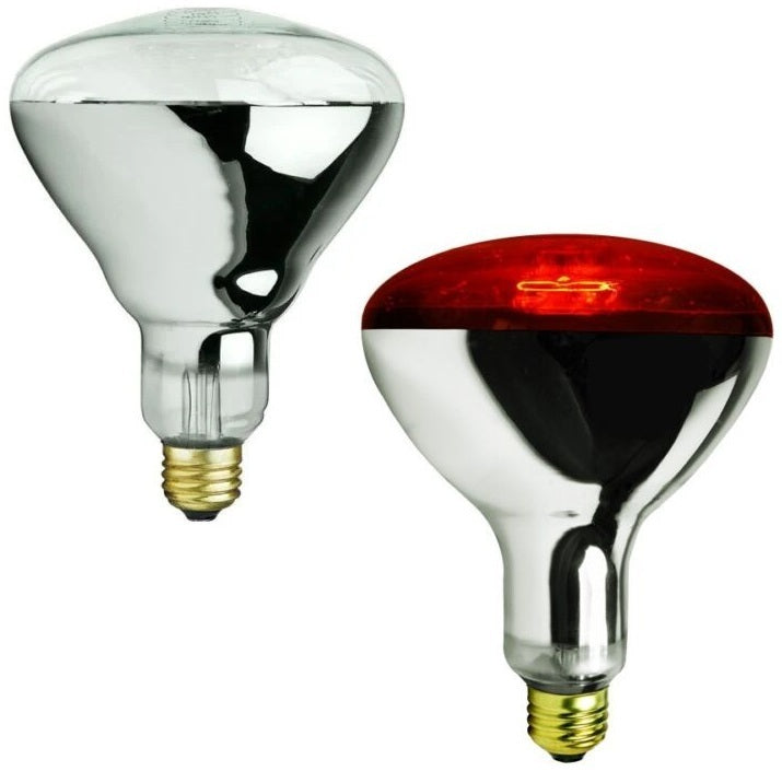 125-to-250-watt Infrared CLEAR or RED Heat Lamp Brooder Light Bulbs