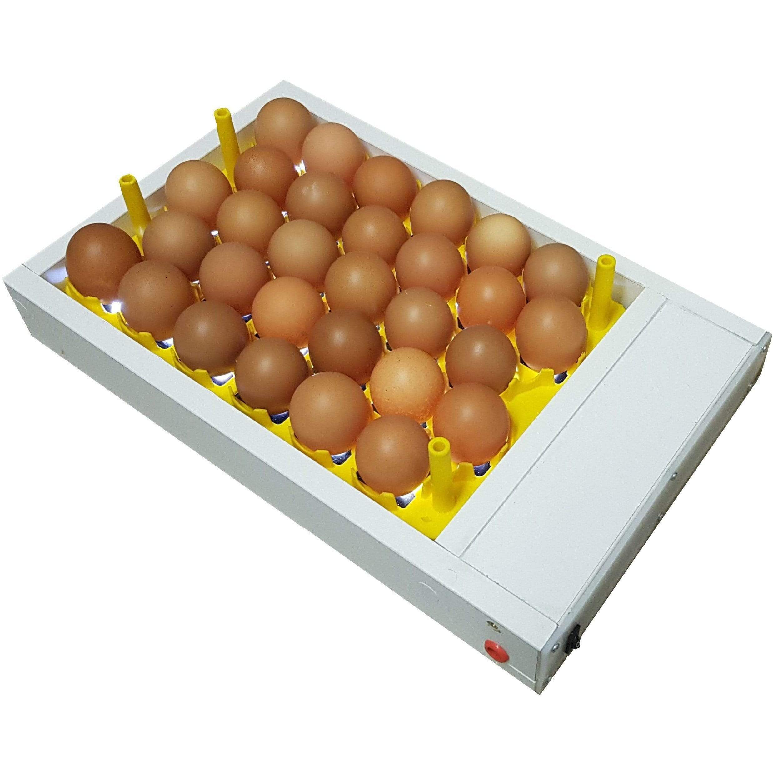 Egg Fertility Tester (Egg Candler) for 30 Chicken Eggs - SureView